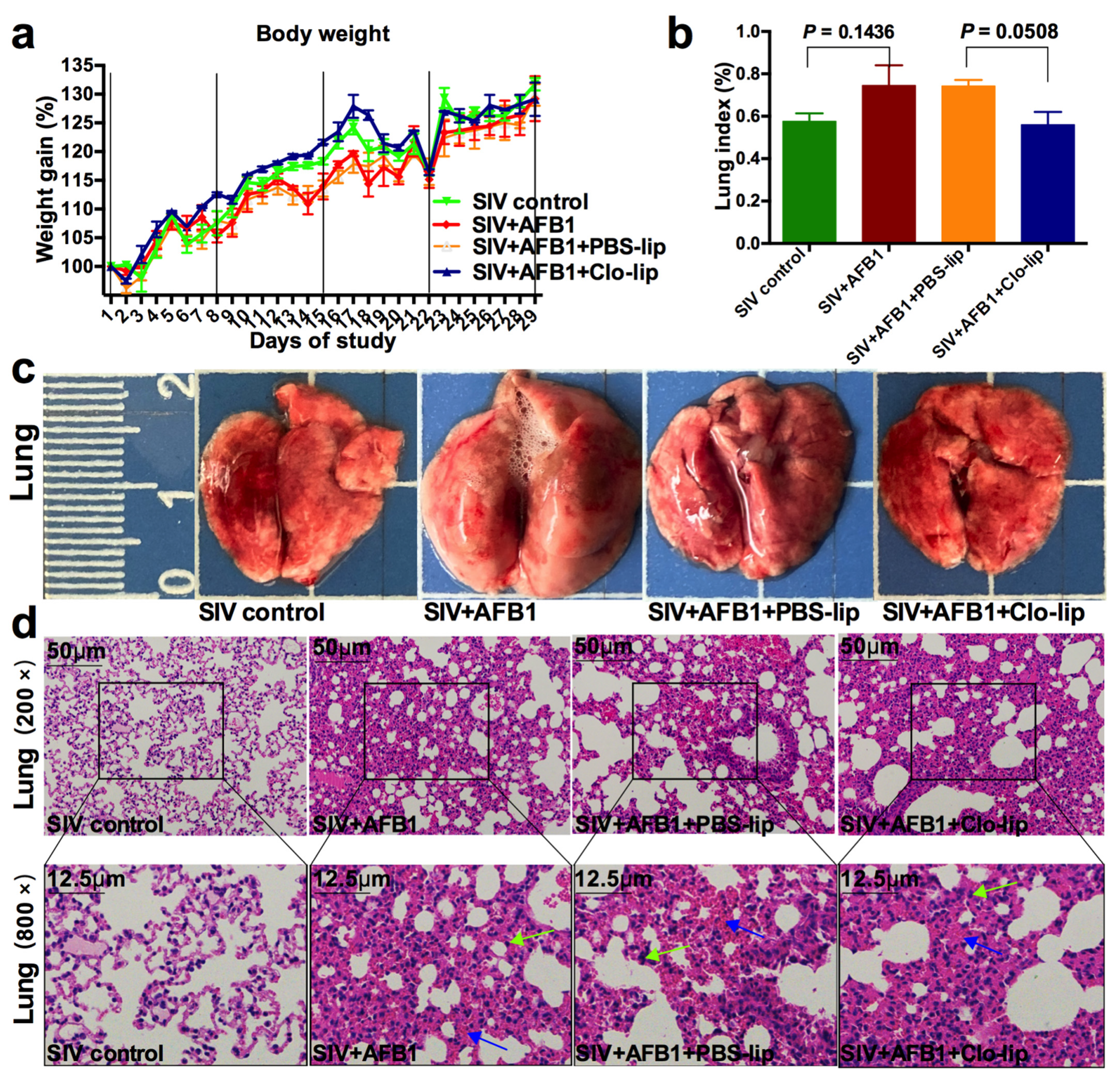 Toxins 15 00067 g005
