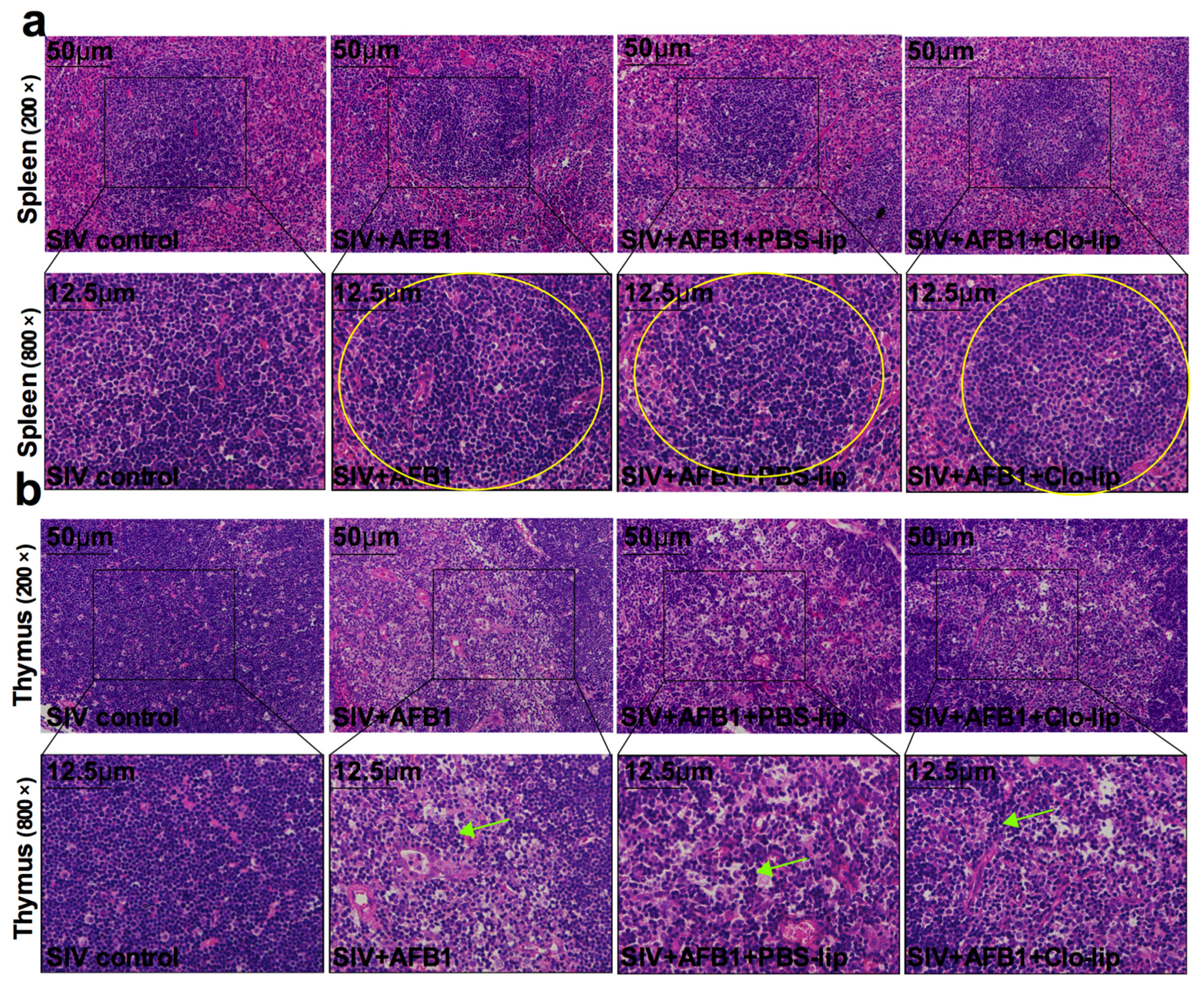 Toxins 15 00067 g007