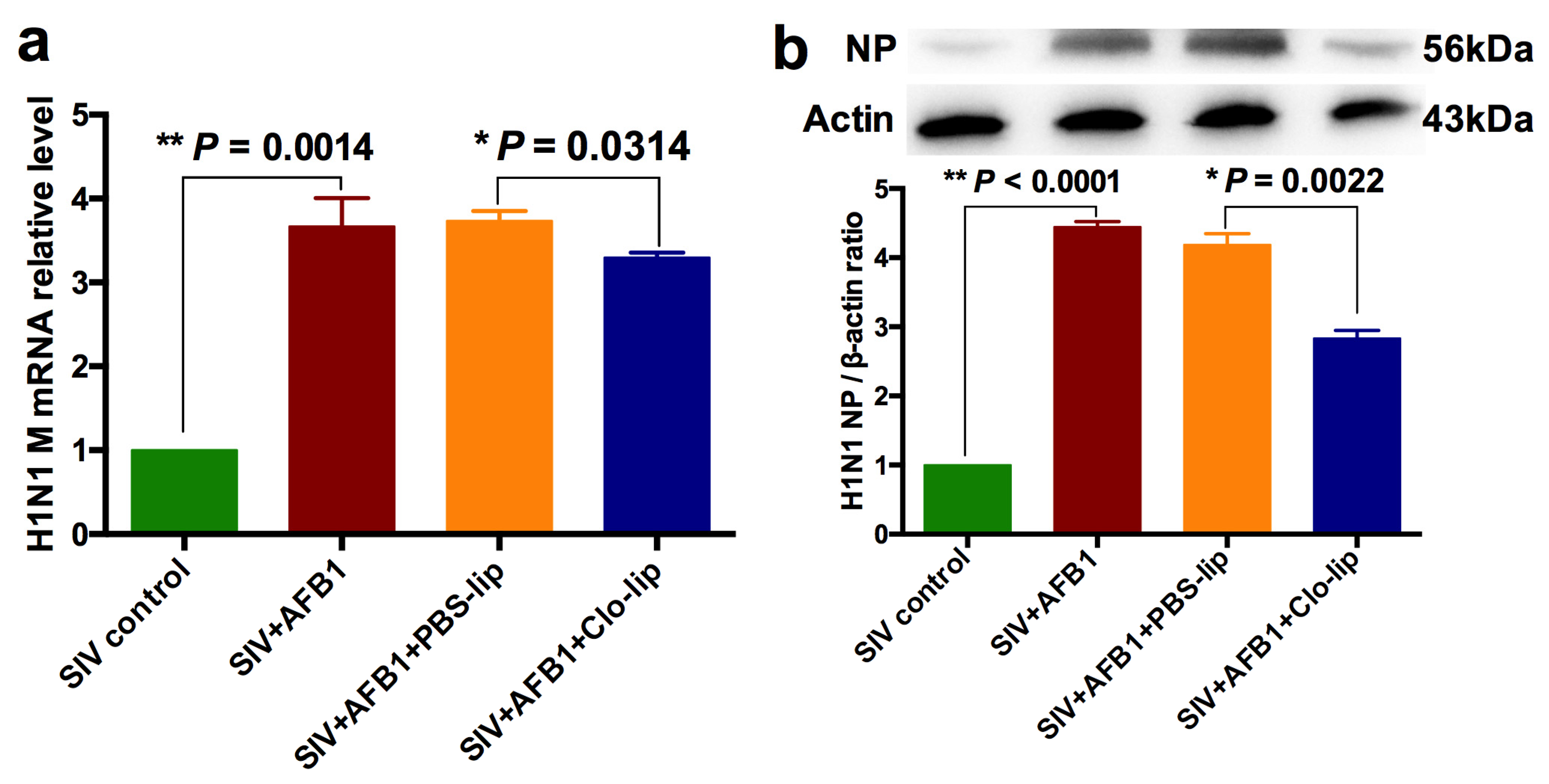 Toxins 15 00067 g008