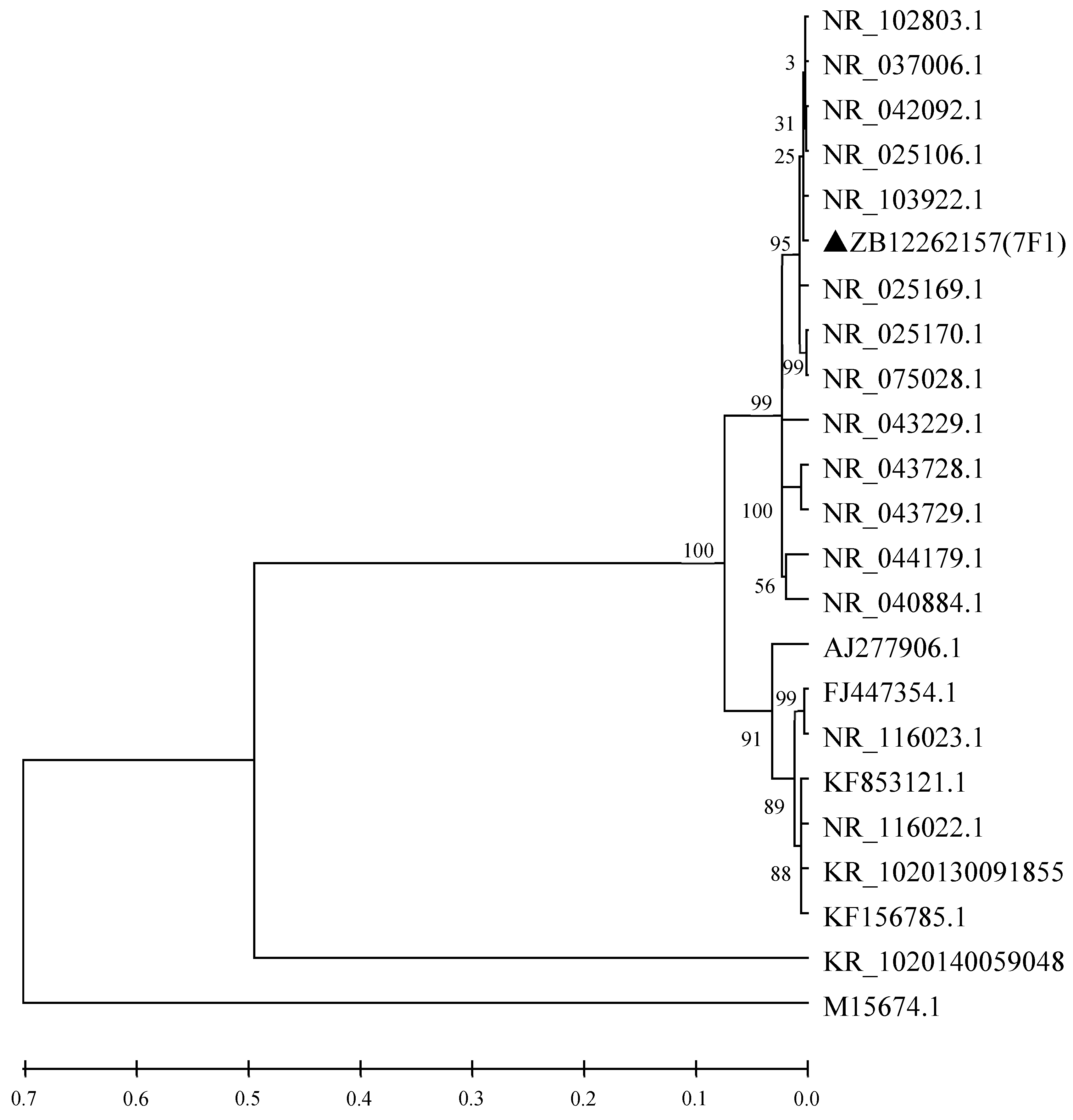 Toxins Free Full Text Paenibacillus polymyxa Antagonism