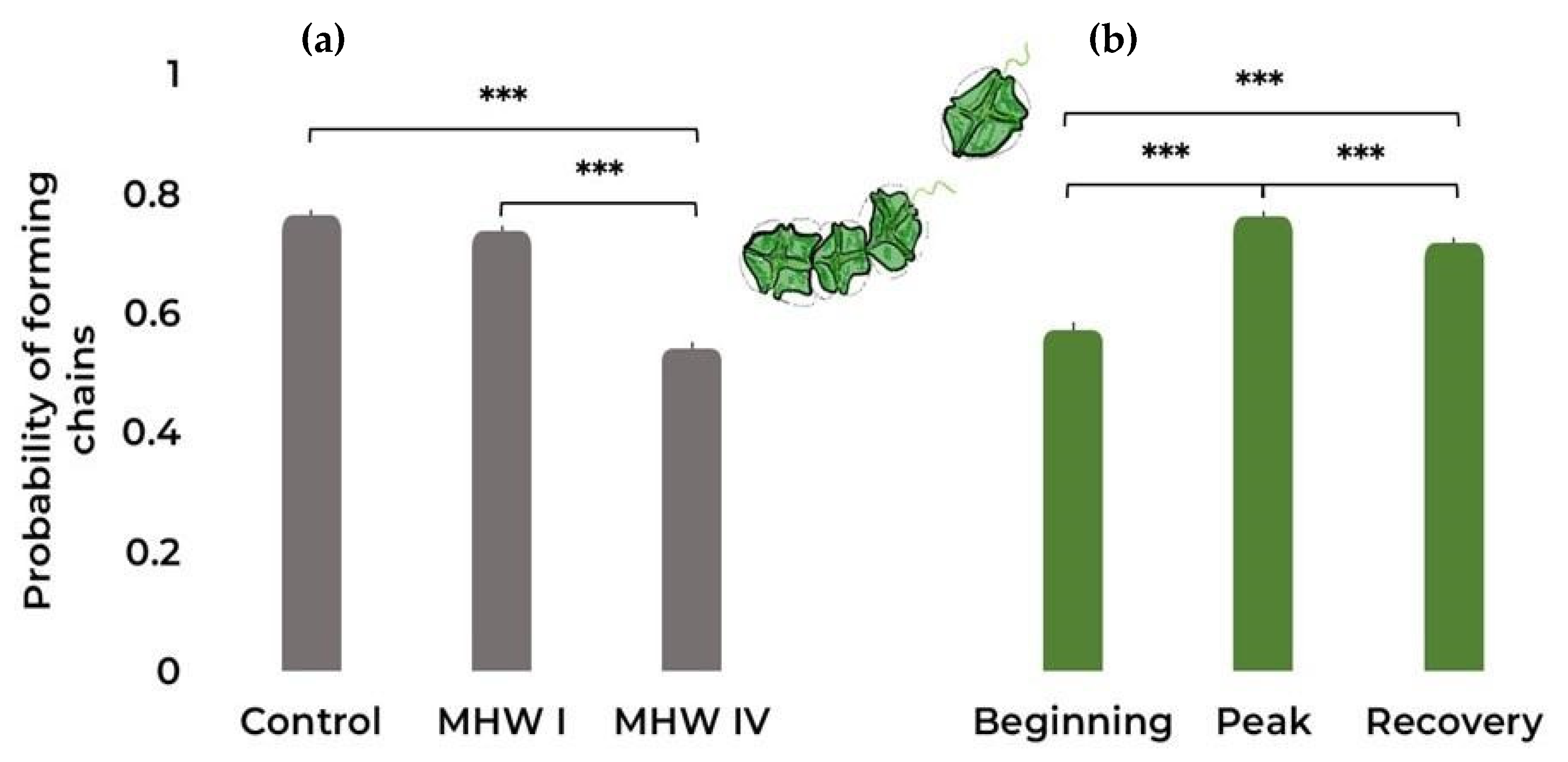 Toxins 15 00157 g002 Toxins 15 00157 g002