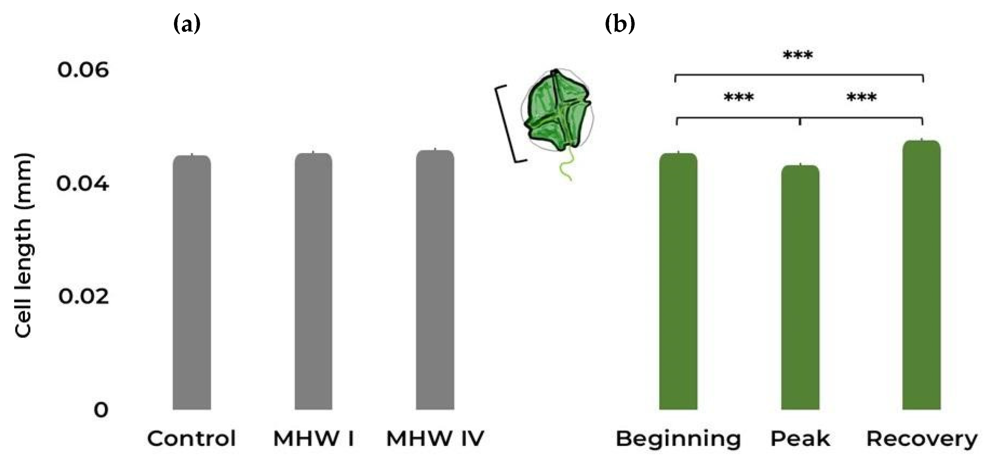 Toxins 15 00157 g003 Toxins 15 00157 g003