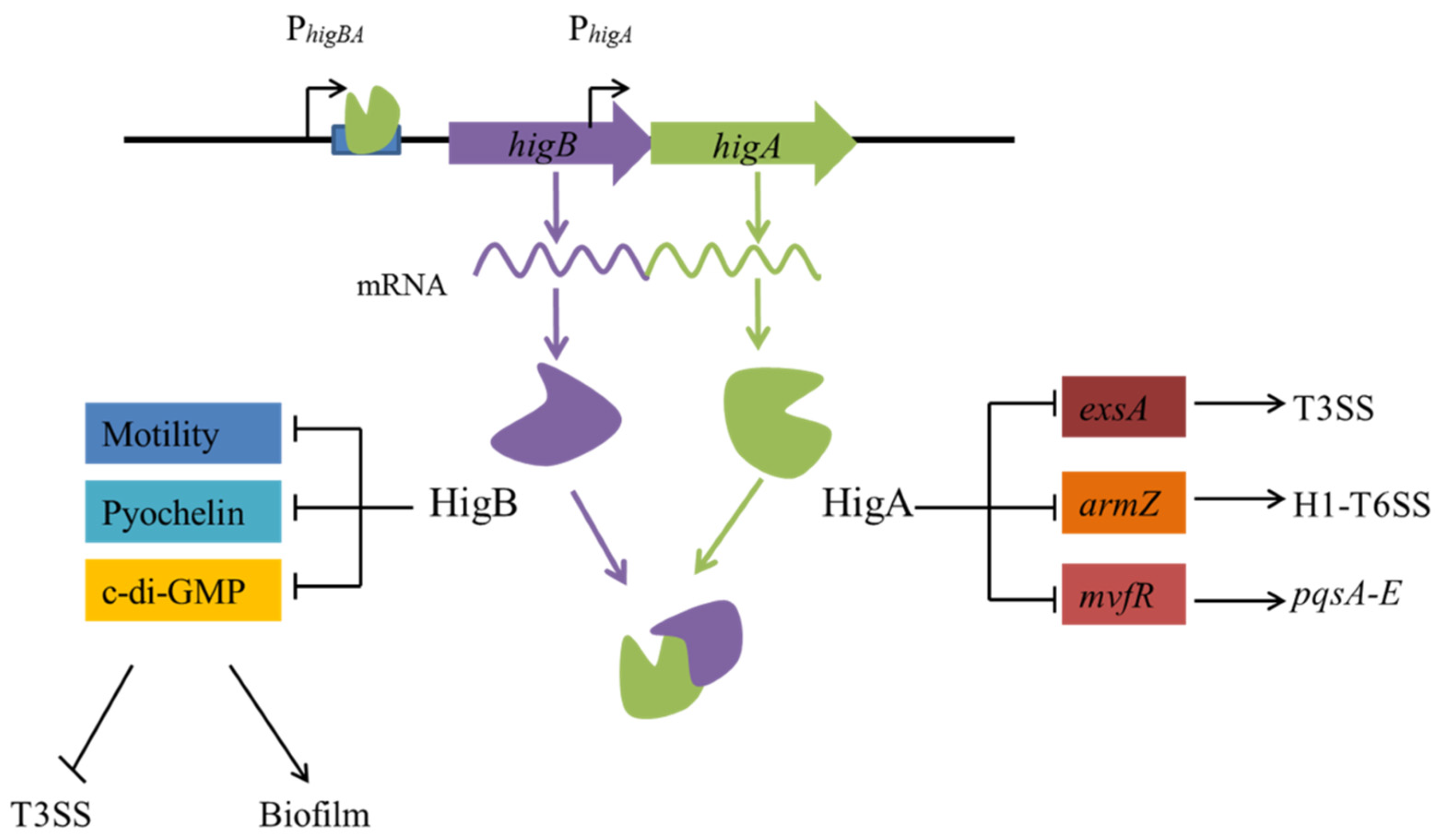 Toxins 15 00164 g003