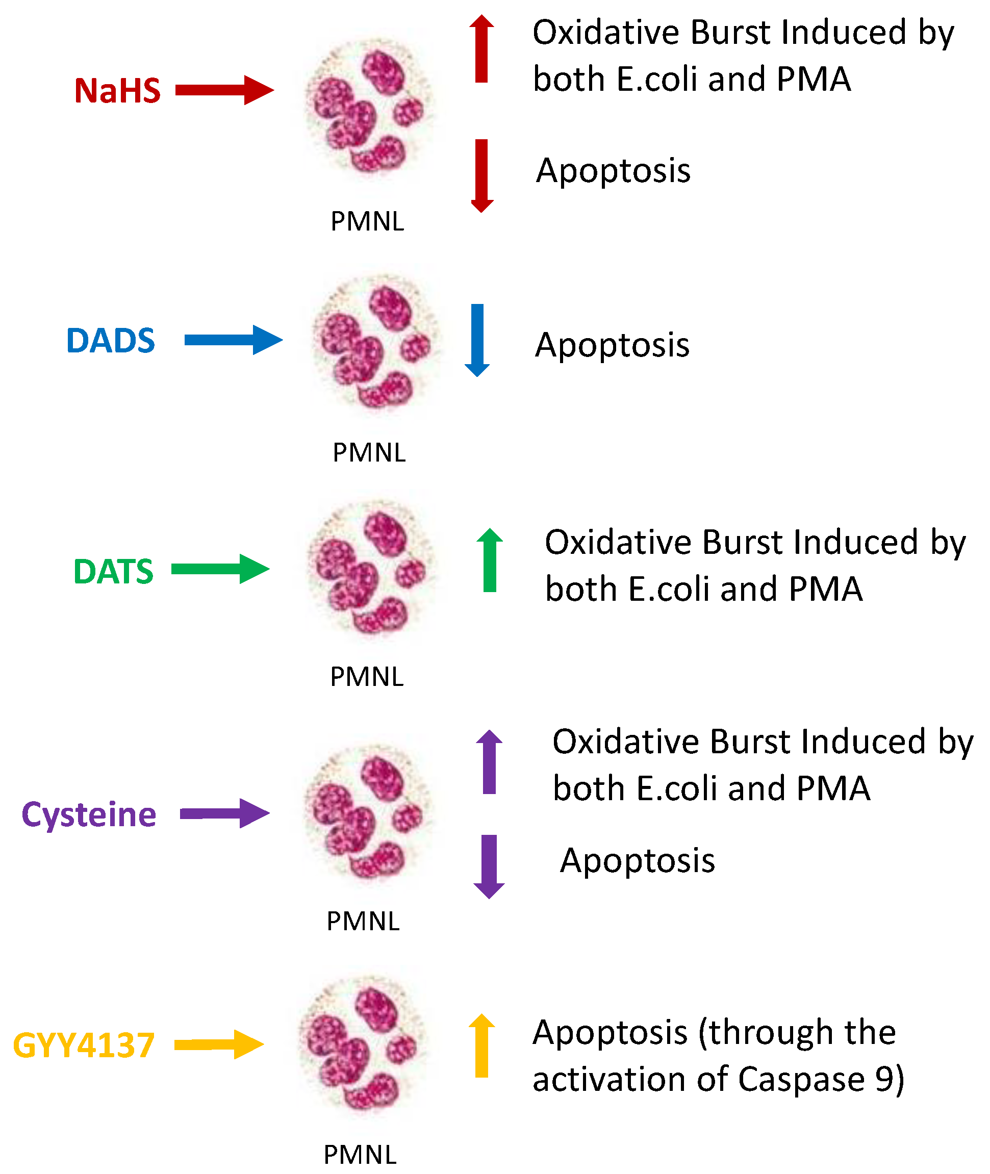 Toxins 15 00198 g009 Toxins 15 00198 g009