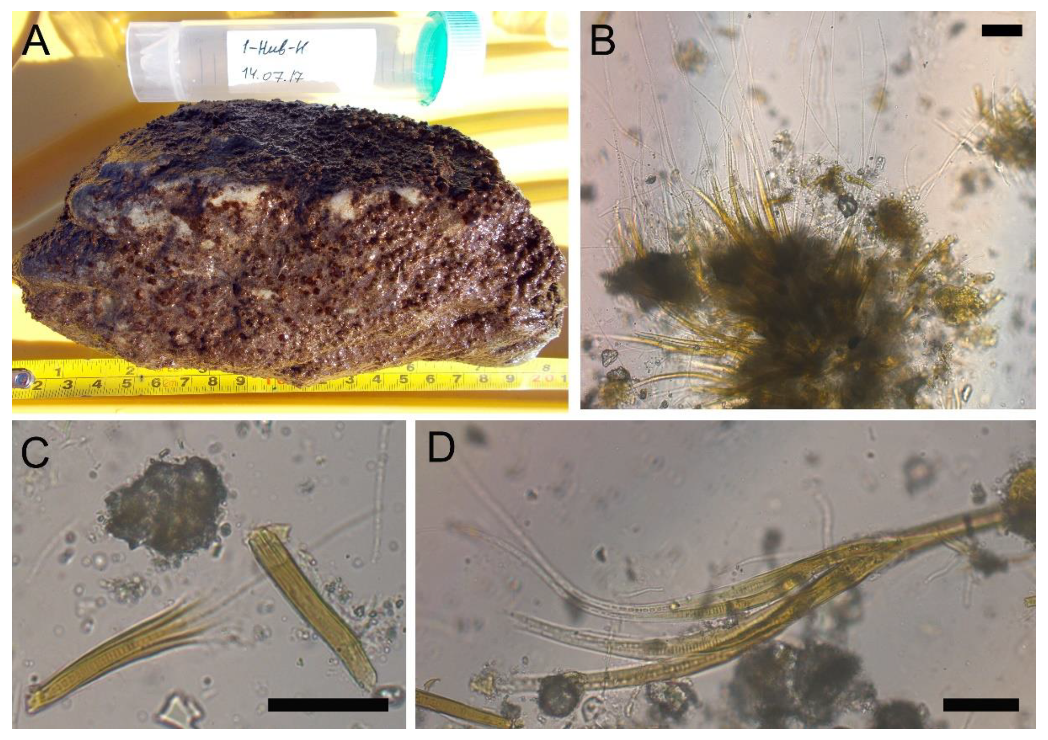 Toxins 15 00213 g004 Toxins 15 00213 g004