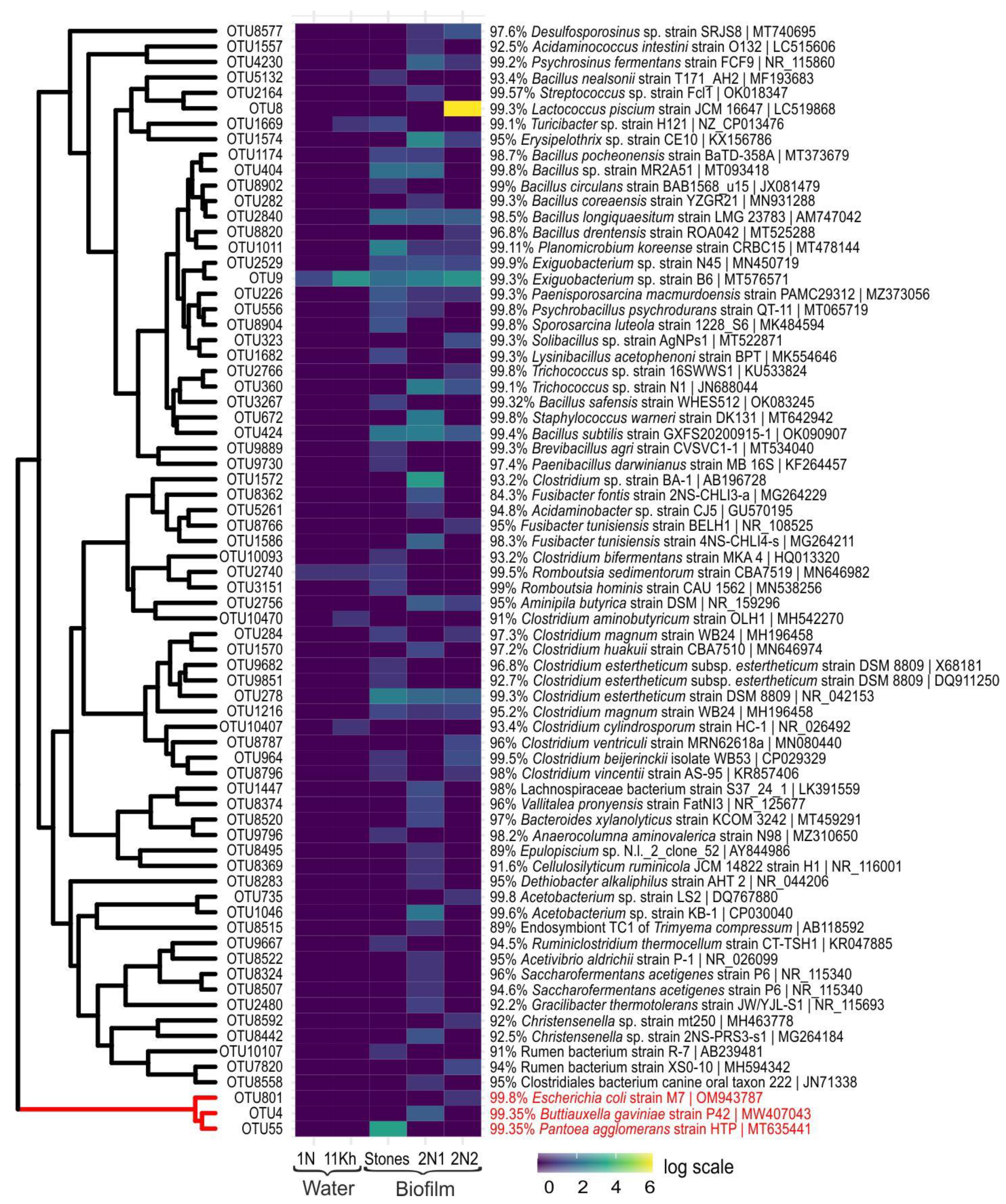 Toxins 15 00213 g006 Toxins 15 00213 g006