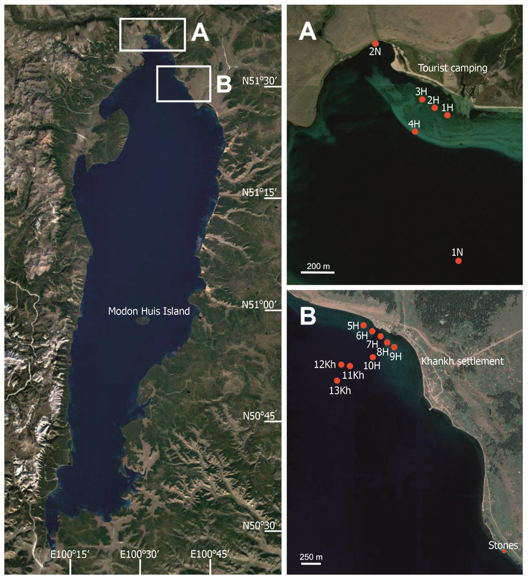 Toxins 15 00213 g009 Toxins 15 00213 g009