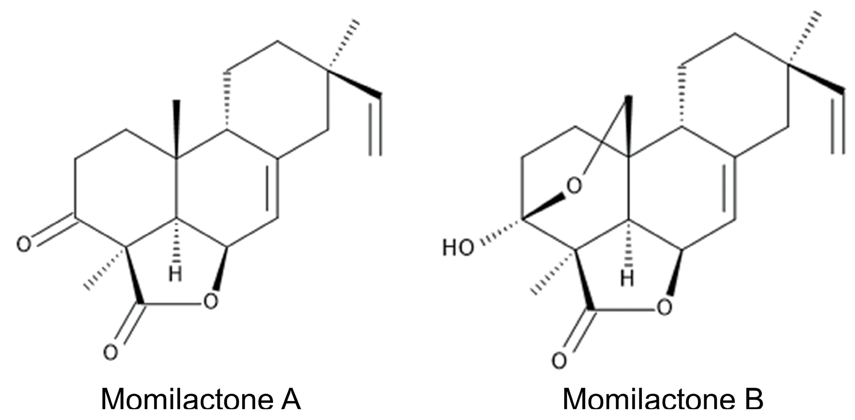 Toxins 15 00241 g001 Toxins 15 00241 g001