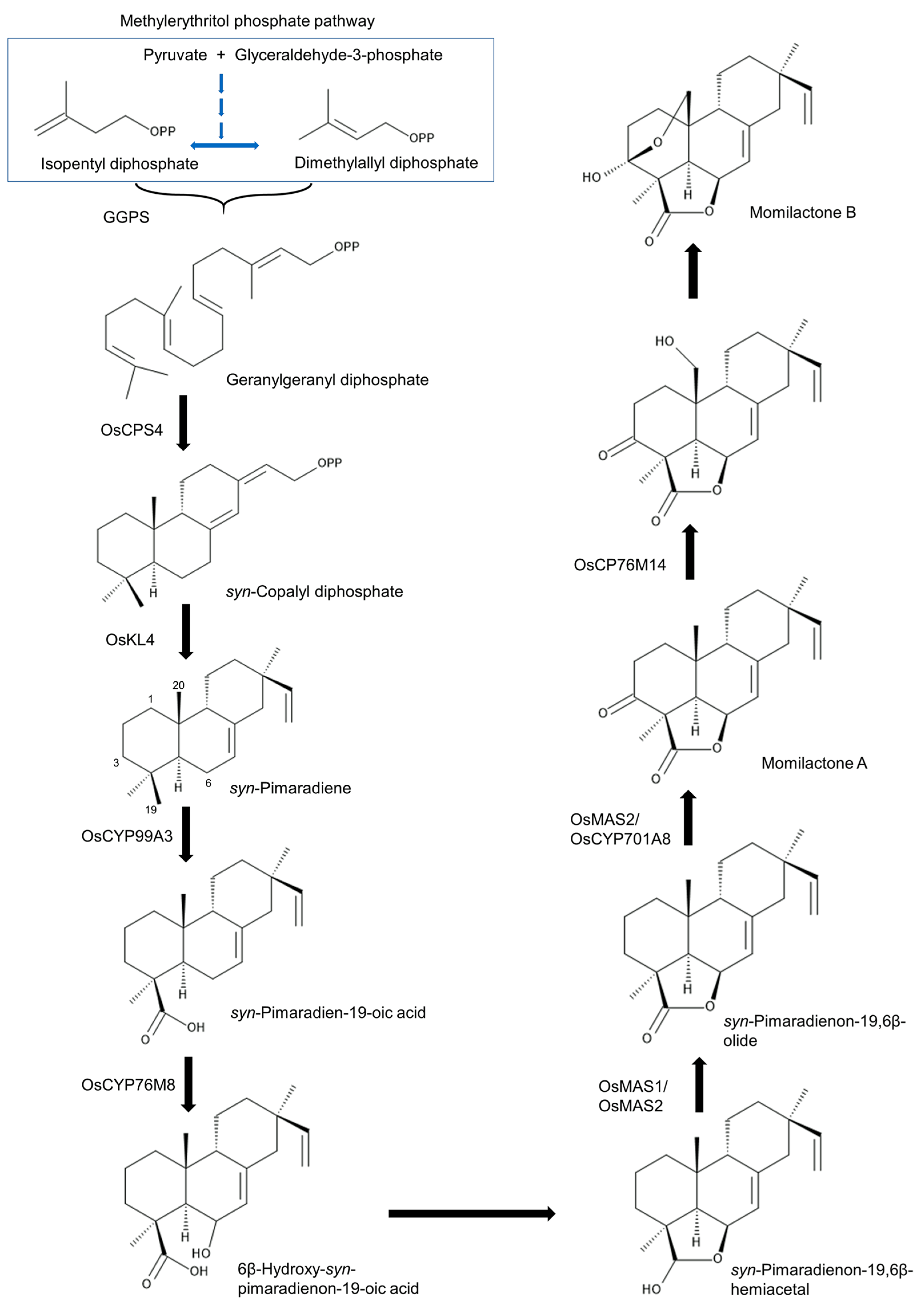 Toxins 15 00241 g002 Toxins 15 00241 g002