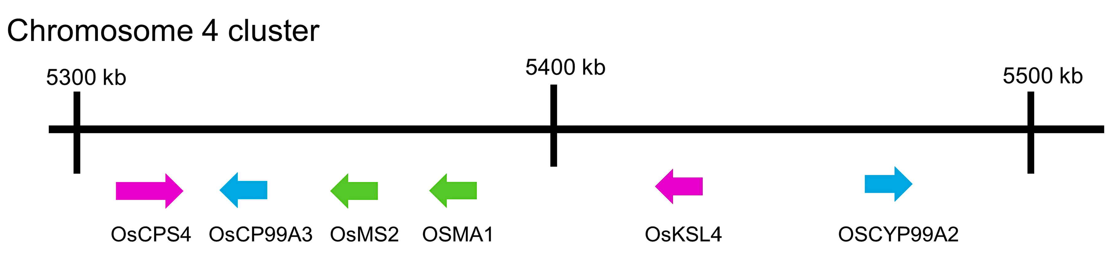 Toxins 15 00241 g003 Toxins 15 00241 g003