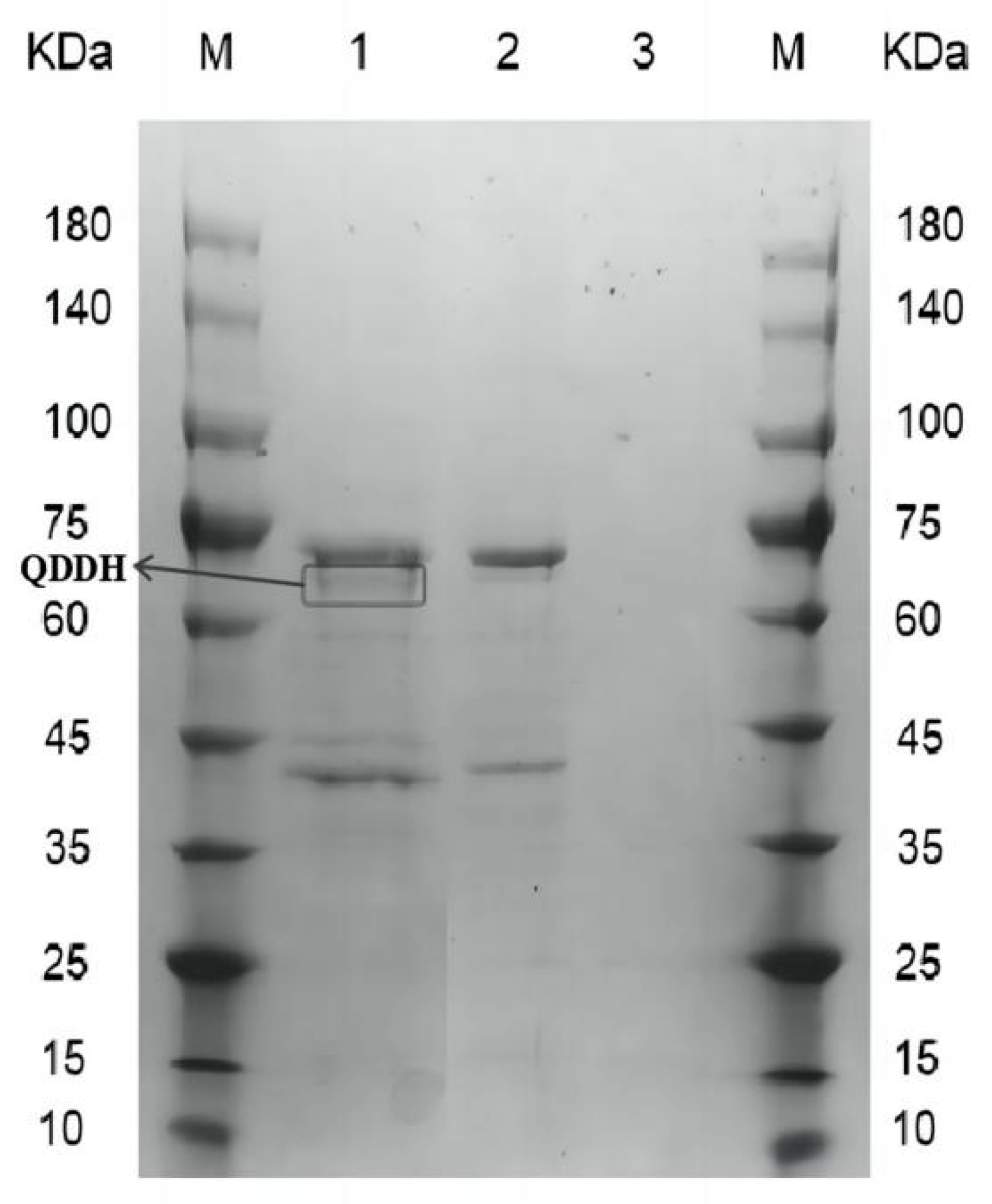 Toxins 15 00286 g003