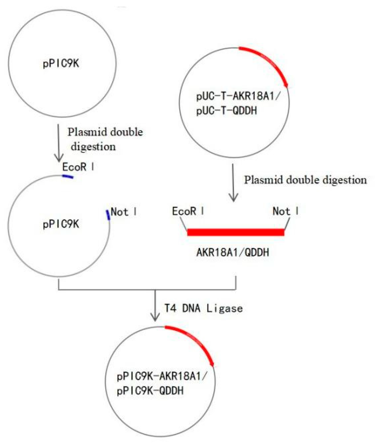 Toxins 15 00286 g008