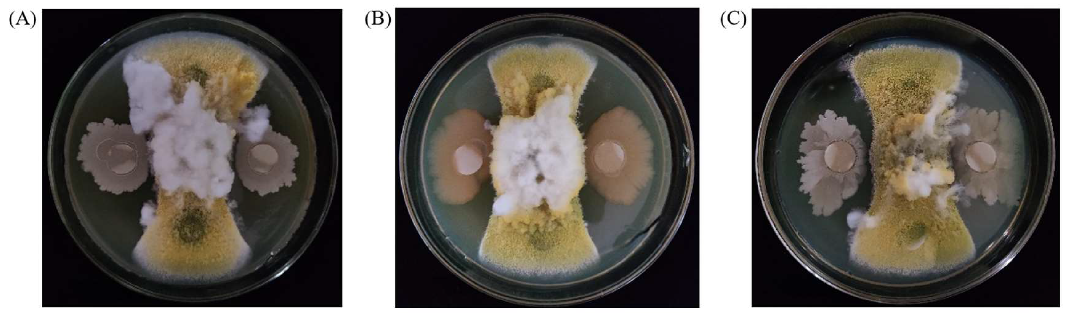 Toxins 15 00308 g001 Toxins 15 00308 g001
