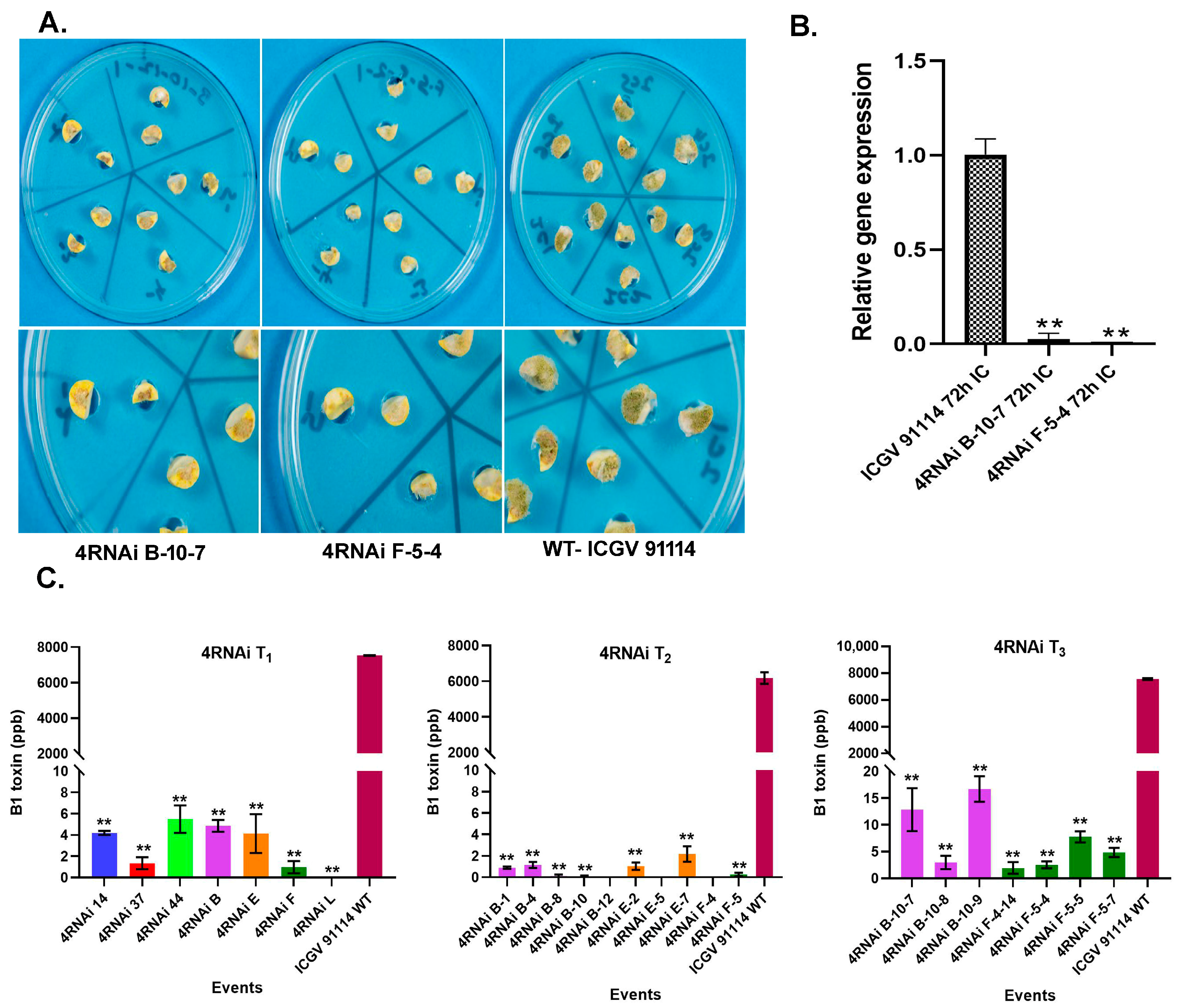 Toxins 15 00319 g002 Toxins 15 00319 g002