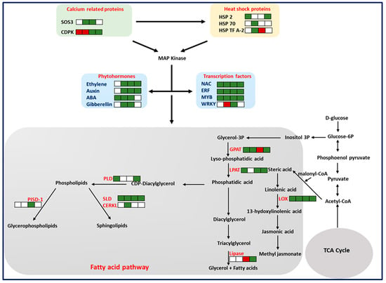 Toxins | Free Full-Text | Multiplexed Host-Induced Gene Silencing of ...