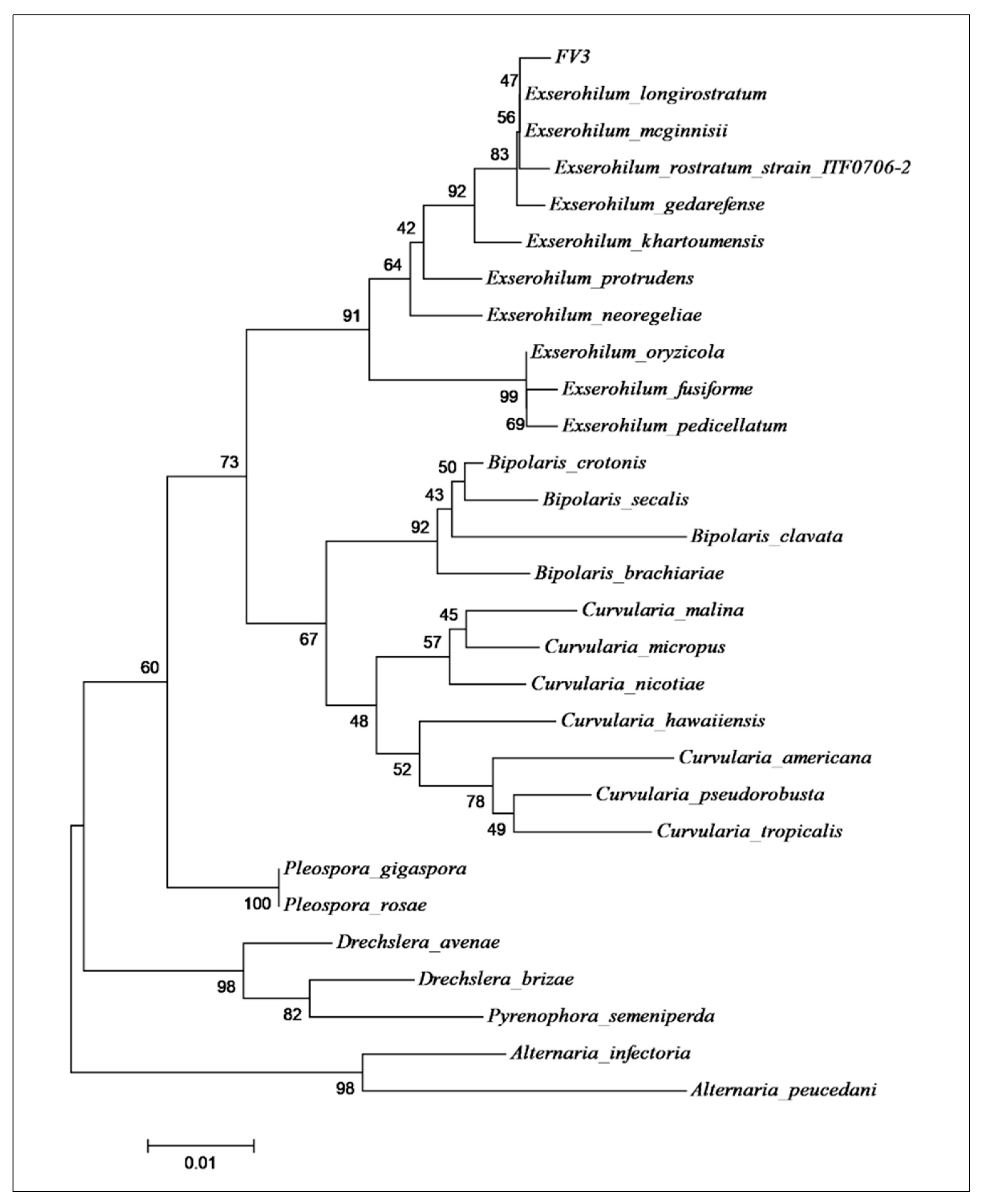 Toxins 15 00344 g001