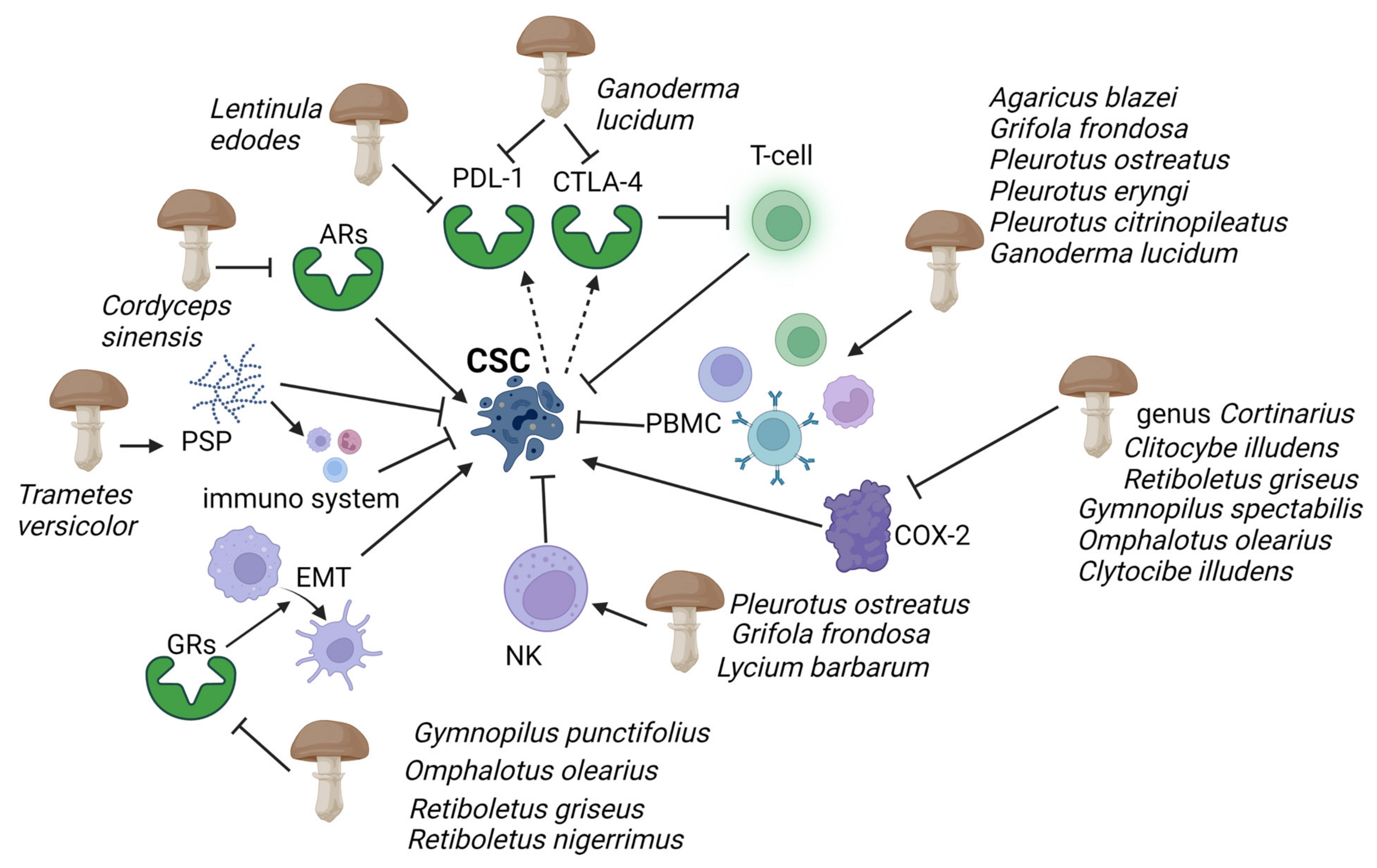 Toxins 15 00360 g002 Toxins 15 00360 g002