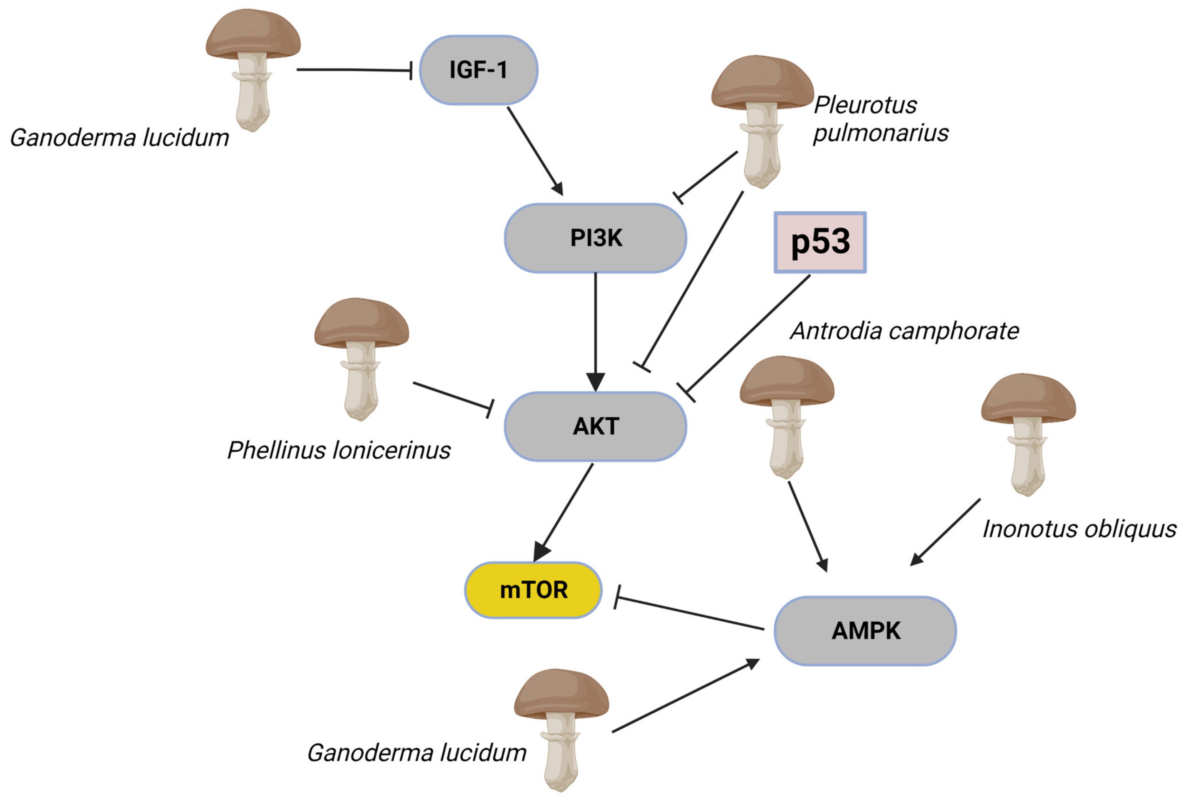 Toxins 15 00360 g004 Toxins 15 00360 g004