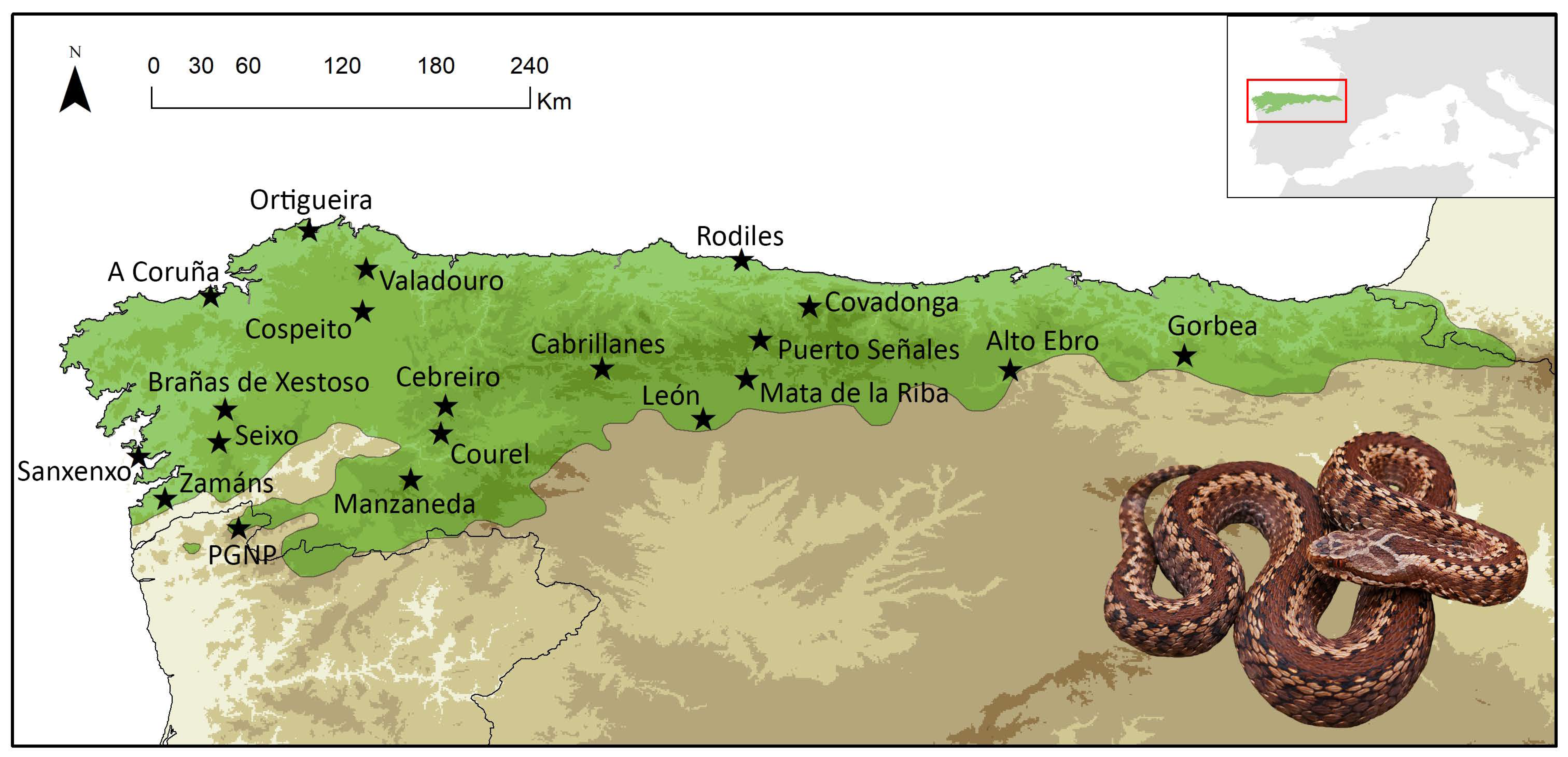 Toxins 15 00371 g005