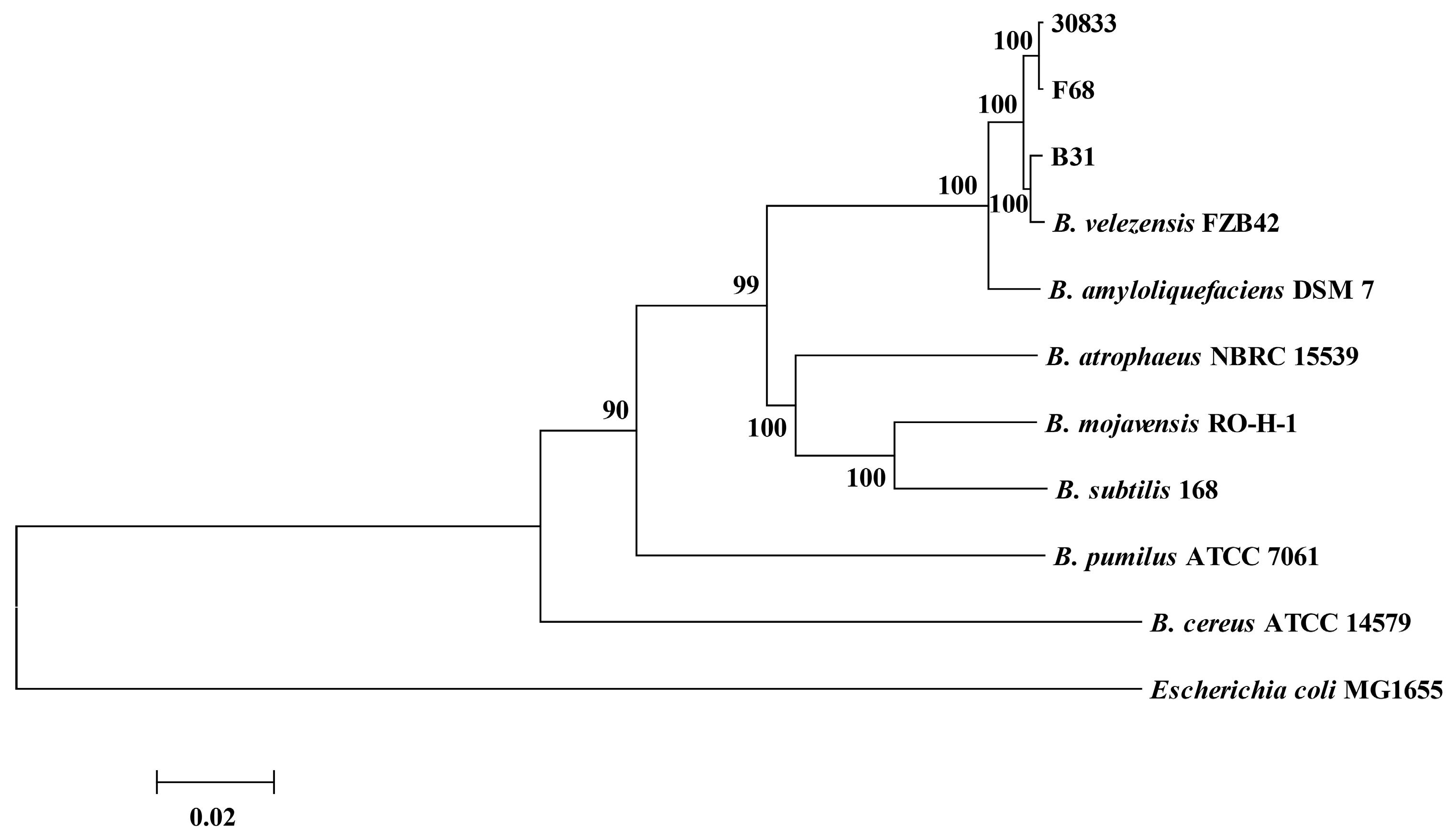 Toxins 15 00381 g001 Toxins 15 00381 g001