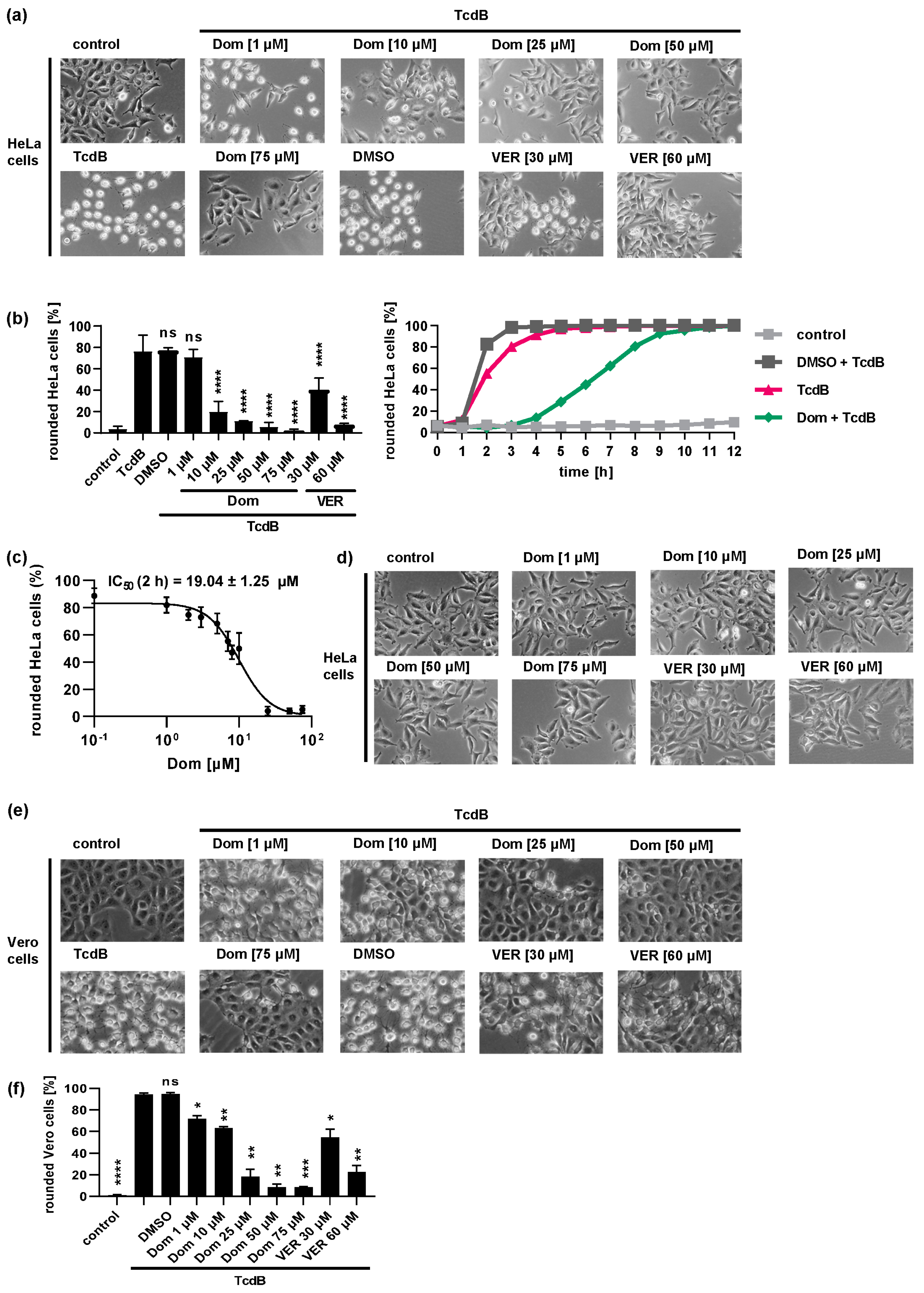 Toxins 15 00384 g001 Toxins 15 00384 g001