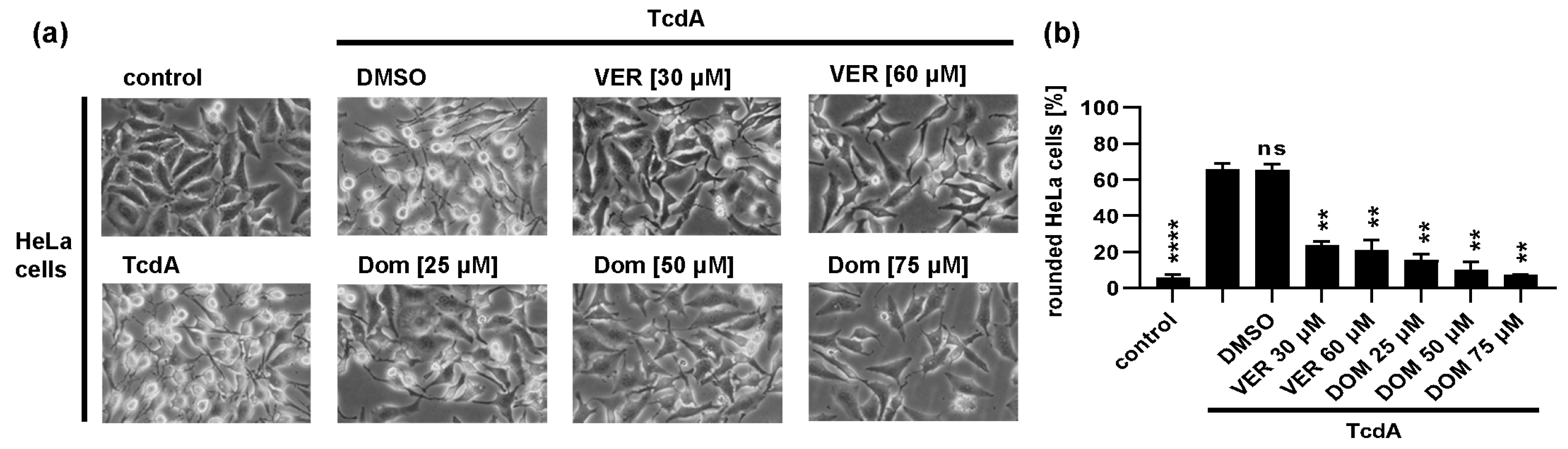 Toxins 15 00384 g002 Toxins 15 00384 g002