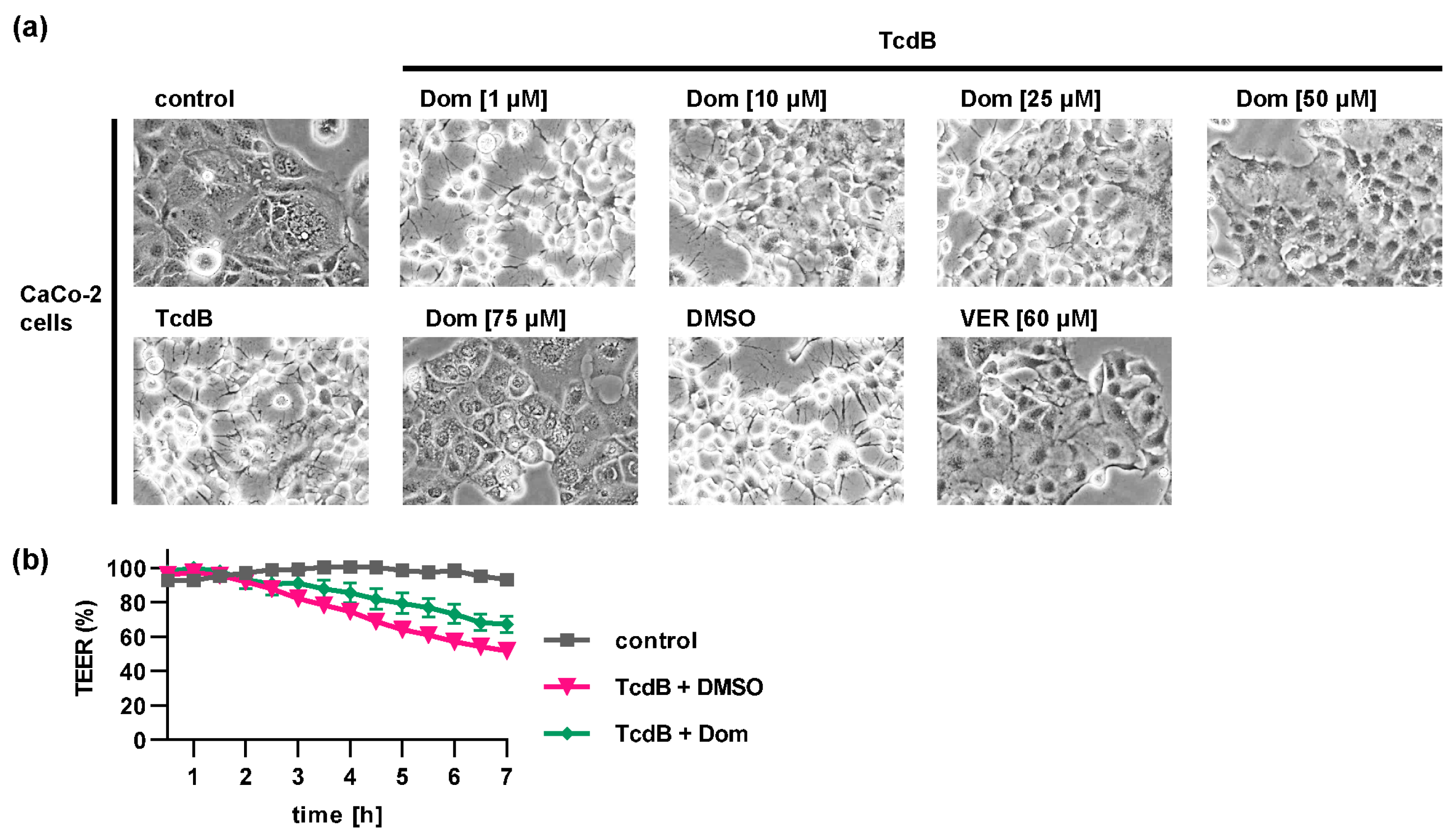 Toxins 15 00384 g003 Toxins 15 00384 g003
