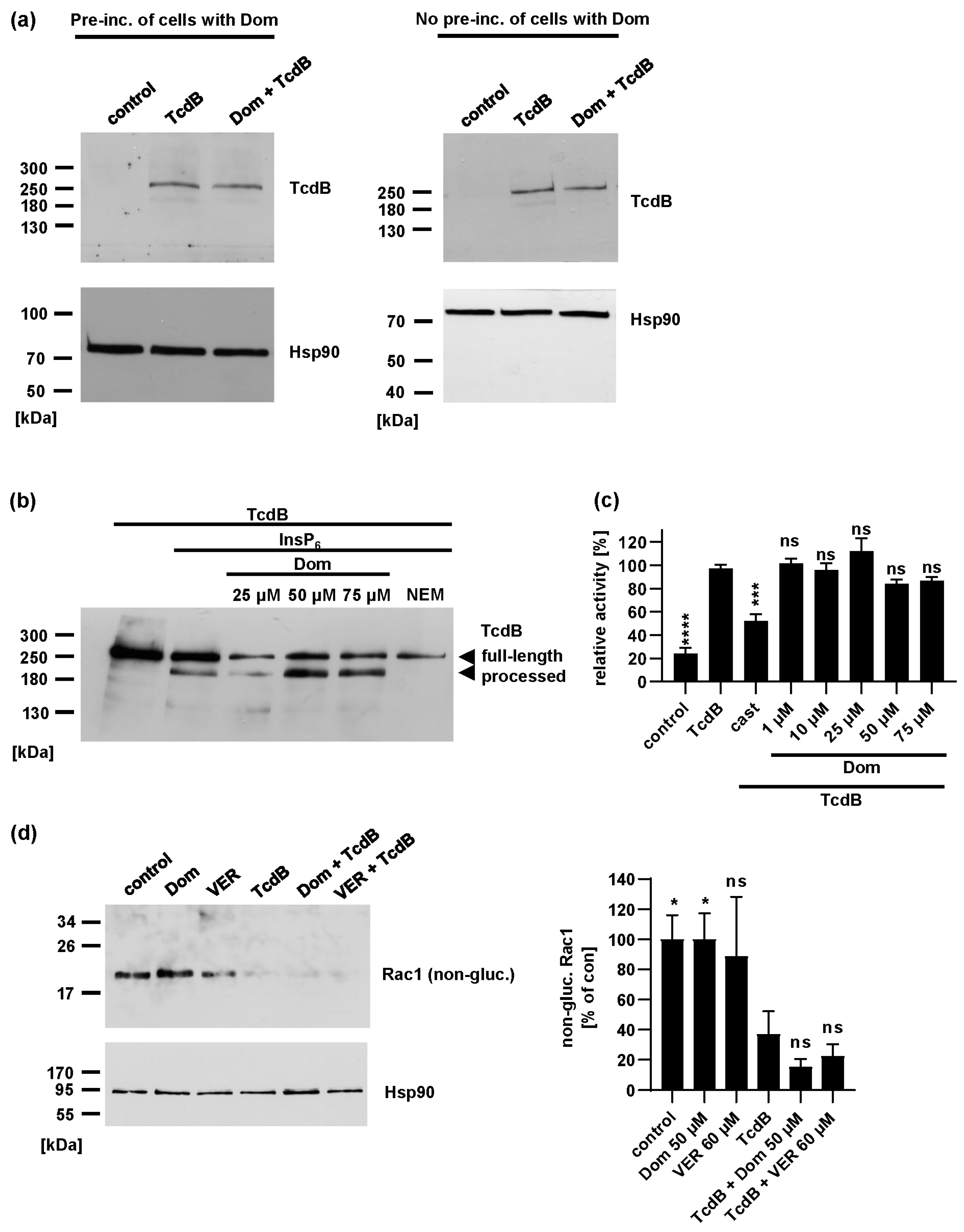 Toxins 15 00384 g005 Toxins 15 00384 g005