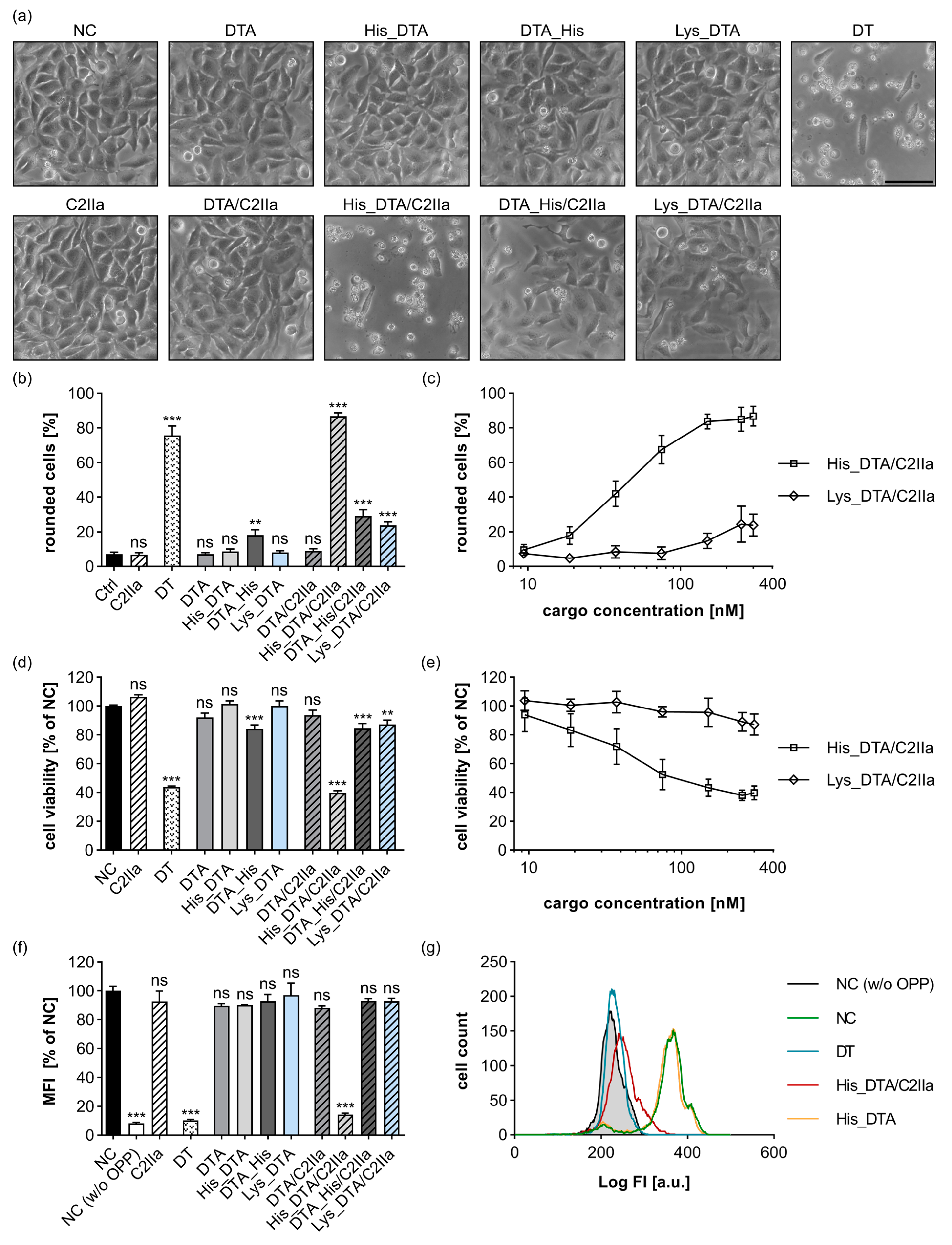 Toxins 15 00390 g001 Toxins 15 00390 g001