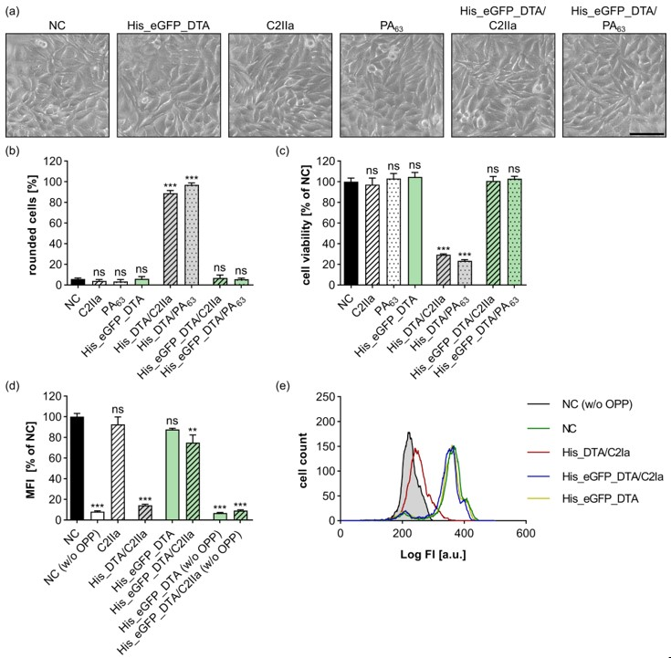 Toxins 15 00390 g003 Toxins 15 00390 g003