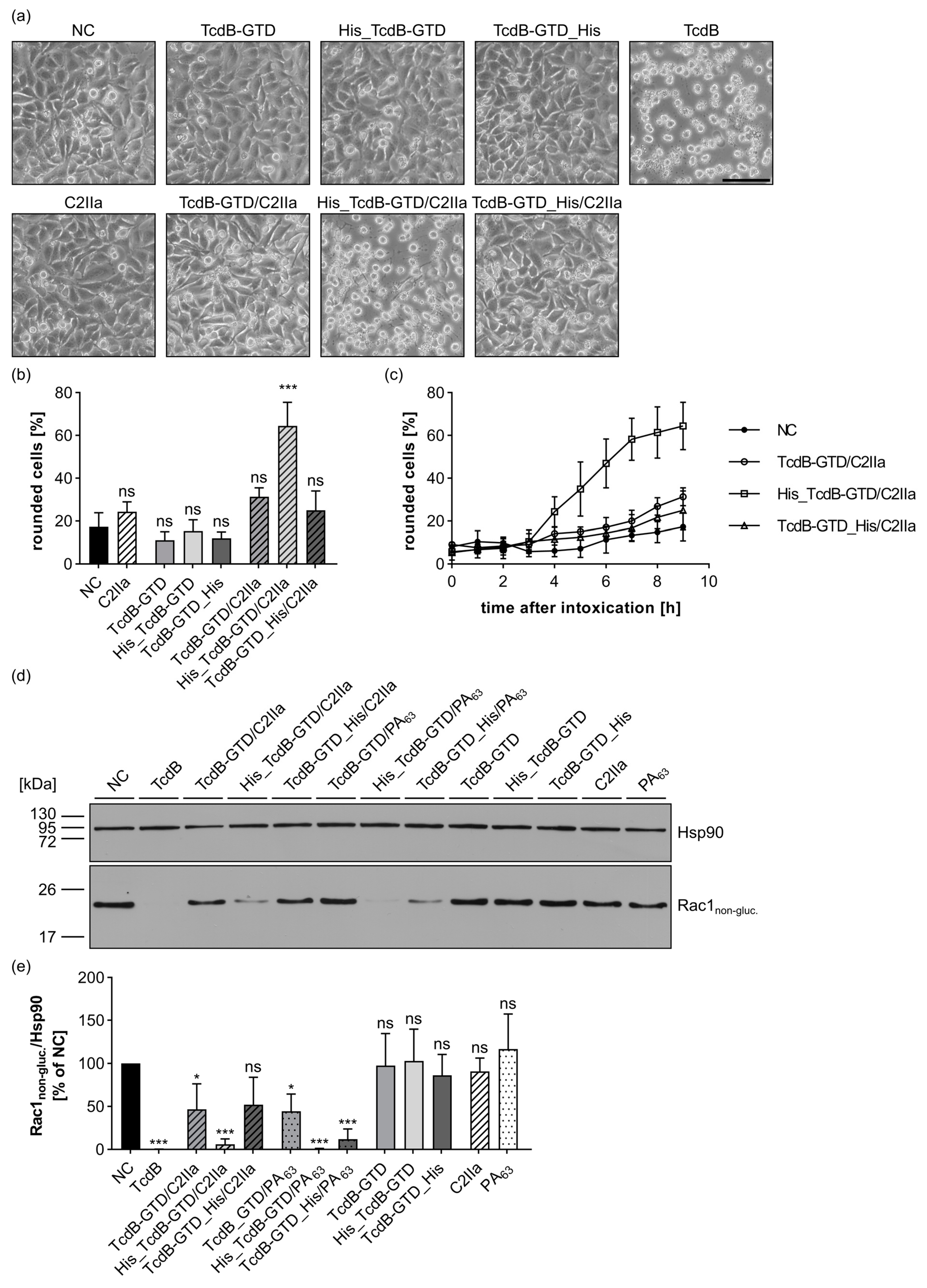 Toxins 15 00390 g004 Toxins 15 00390 g004