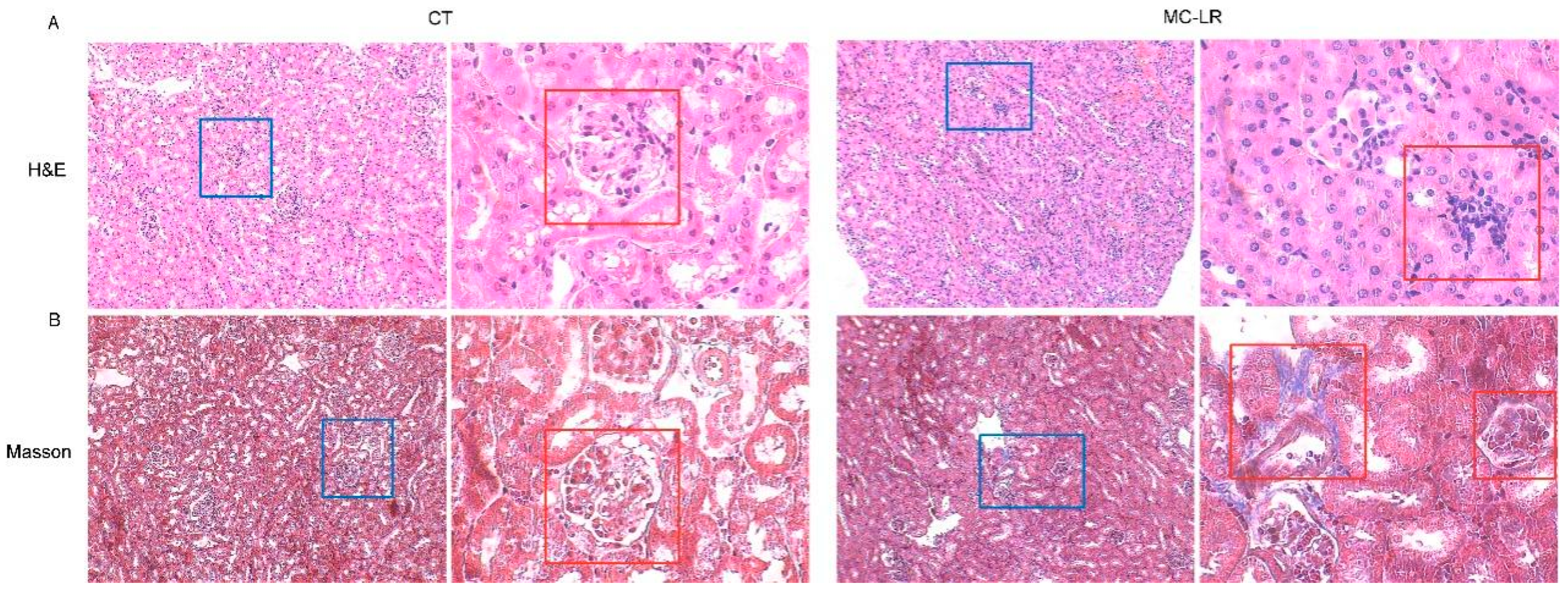Toxins 15 00404 g003