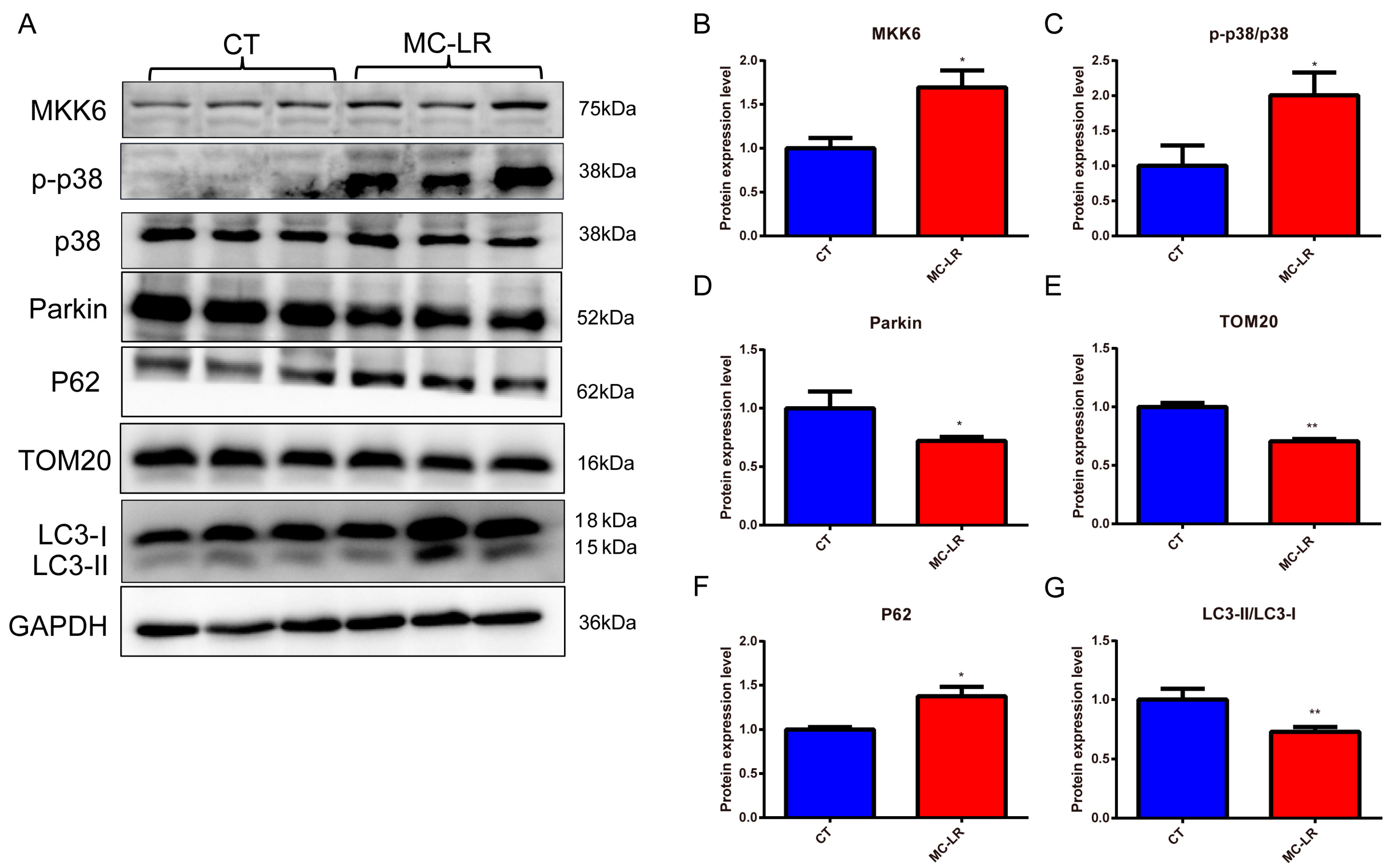 Toxins 15 00404 g004