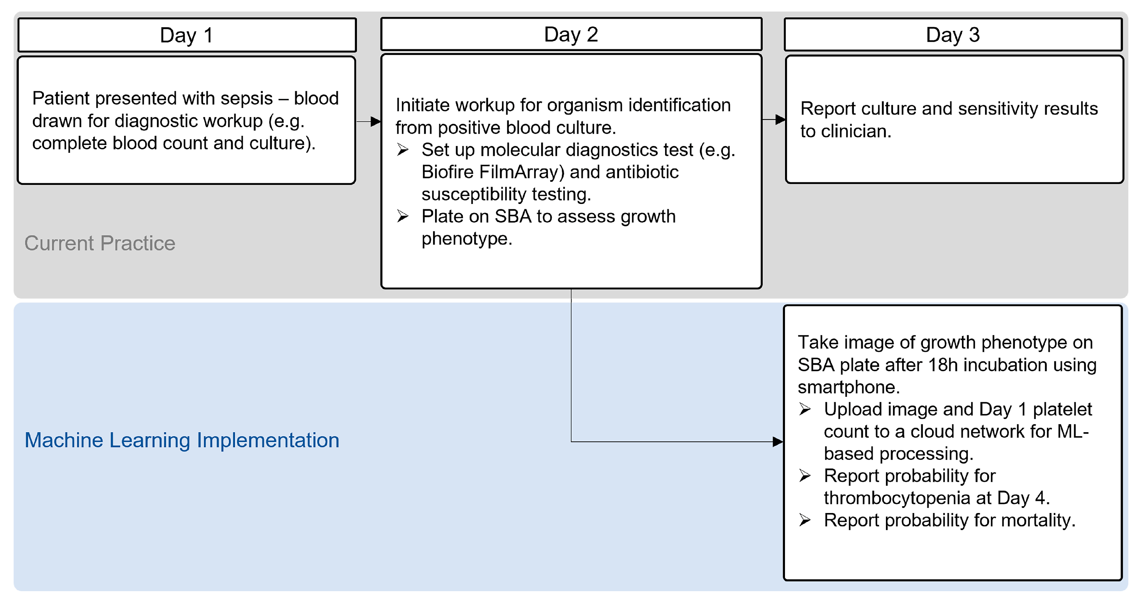 Toxins 15 00417 g003
