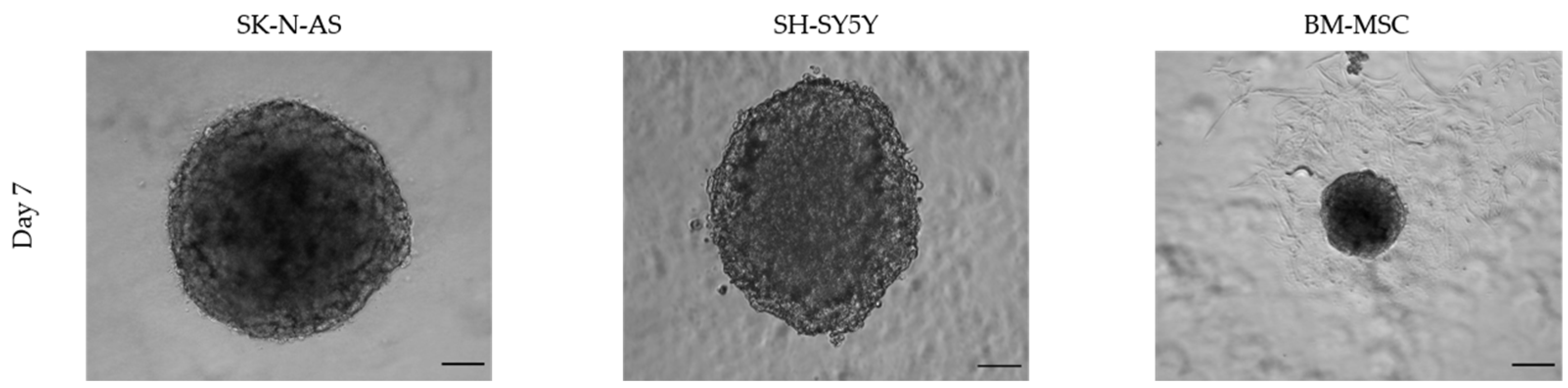 Toxins 15 00422 g003