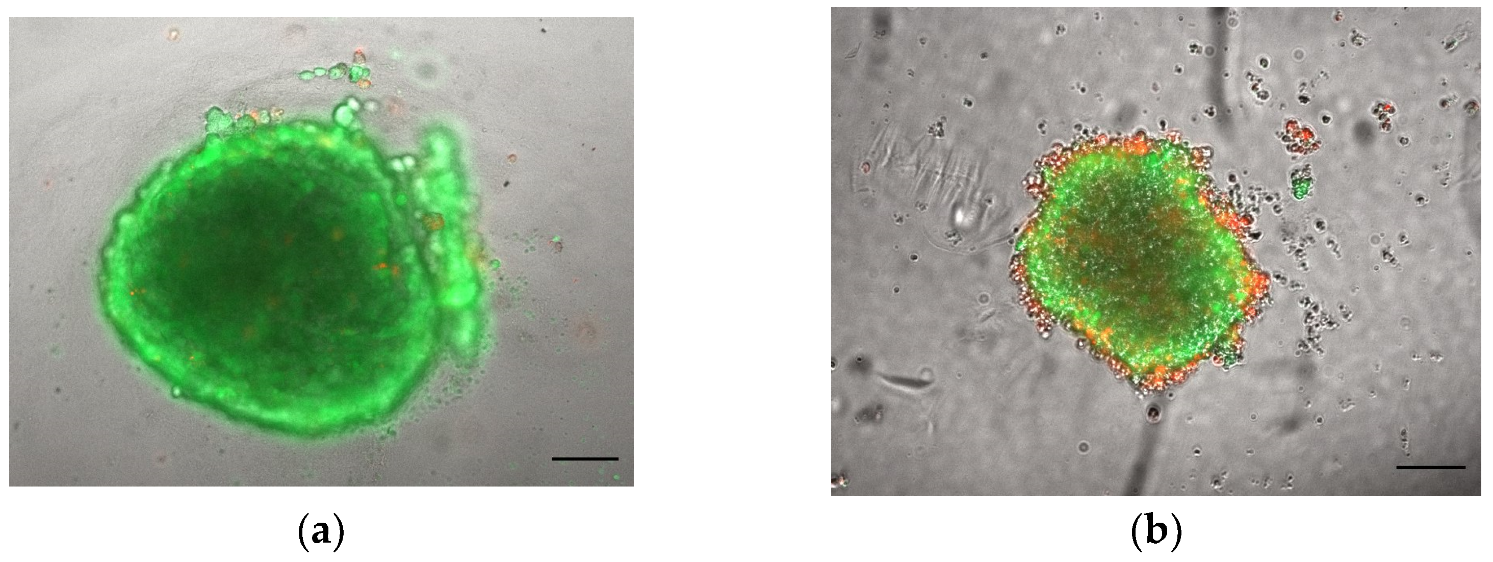 Toxins 15 00422 g008