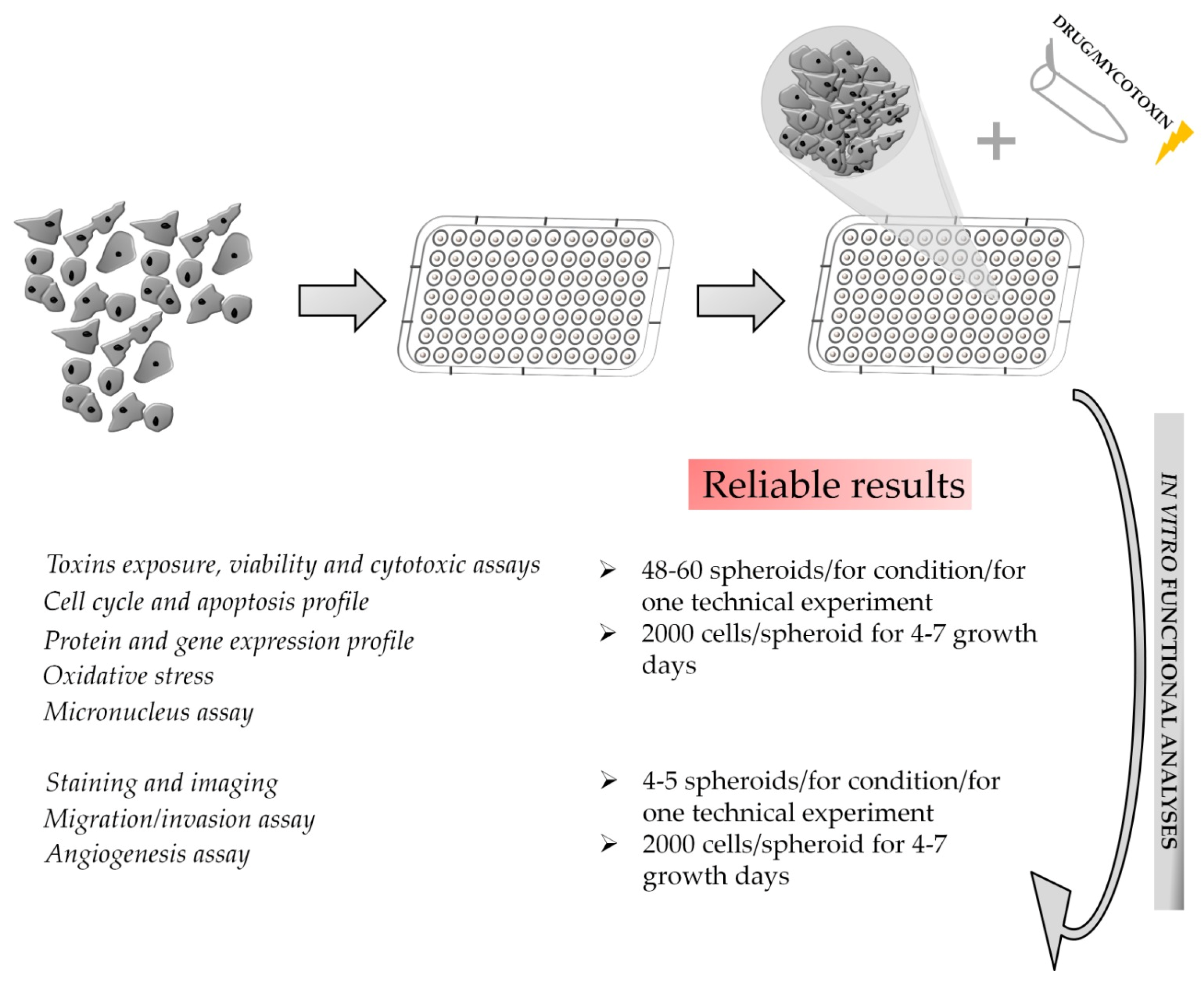 Toxins 15 00422 g009
