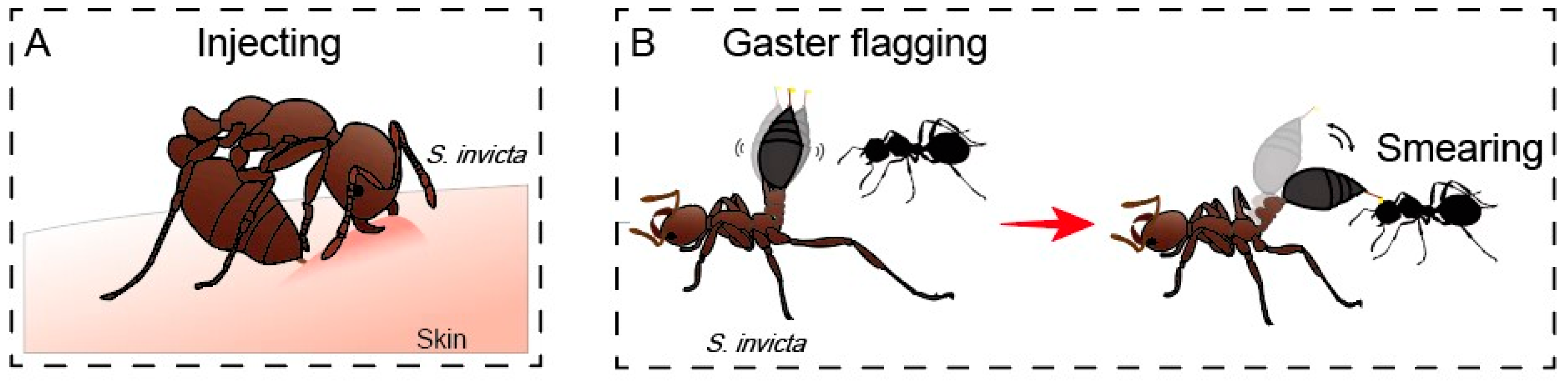 Toxins 15 00439 g002 Toxins 15 00439 g002