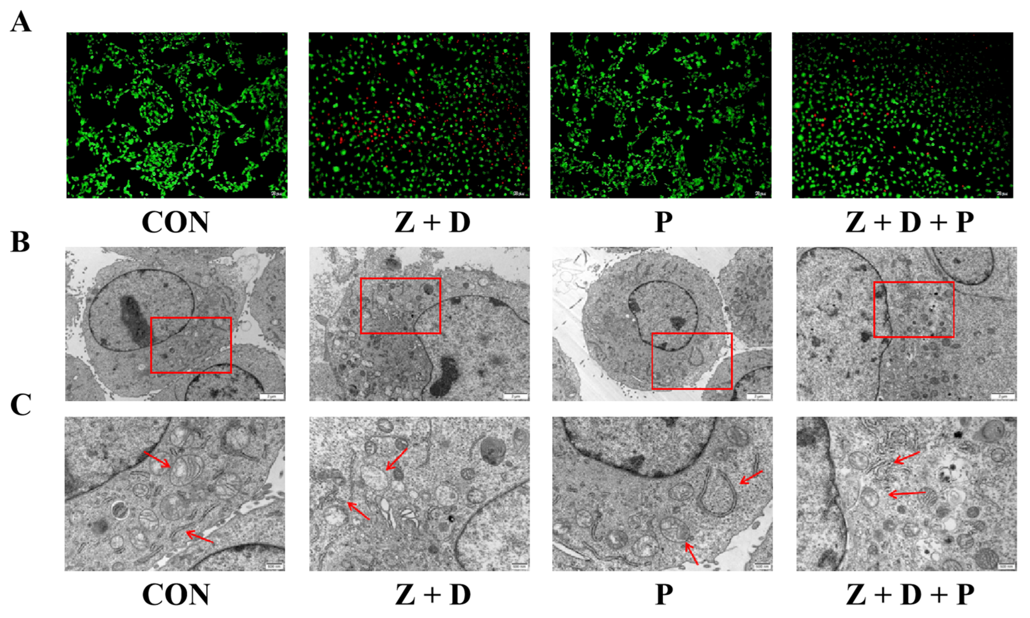 Toxins 15 00471 g002 Toxins 15 00471 g002