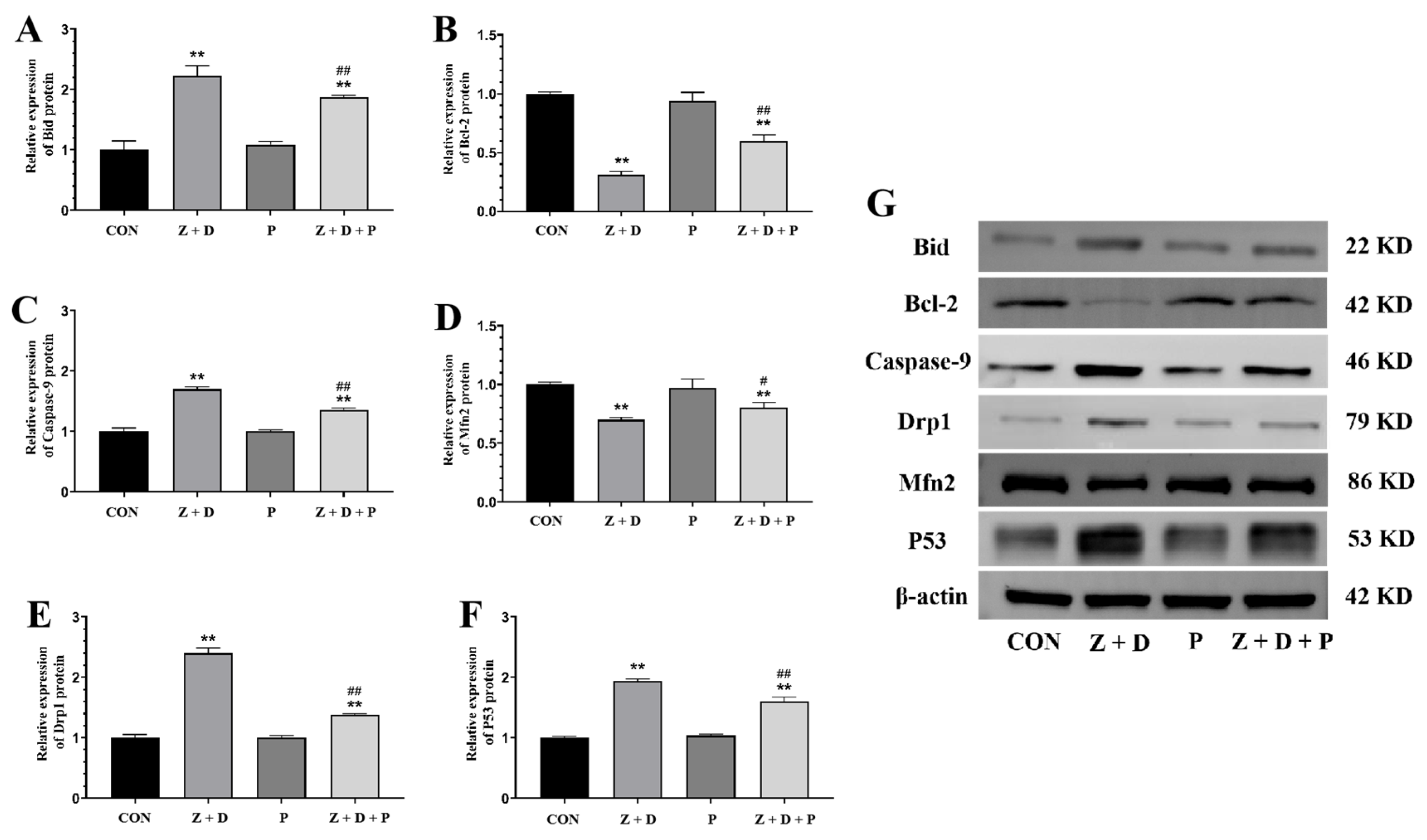 Toxins 15 00471 g005 Toxins 15 00471 g005