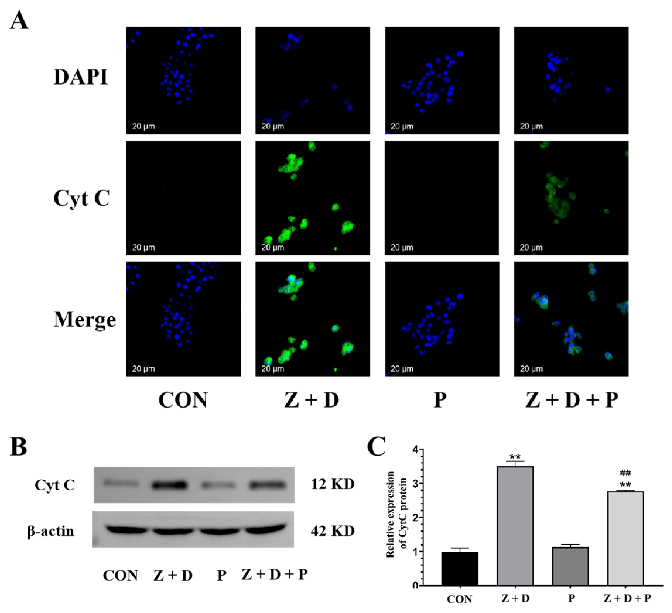 Toxins 15 00471 g006 Toxins 15 00471 g006