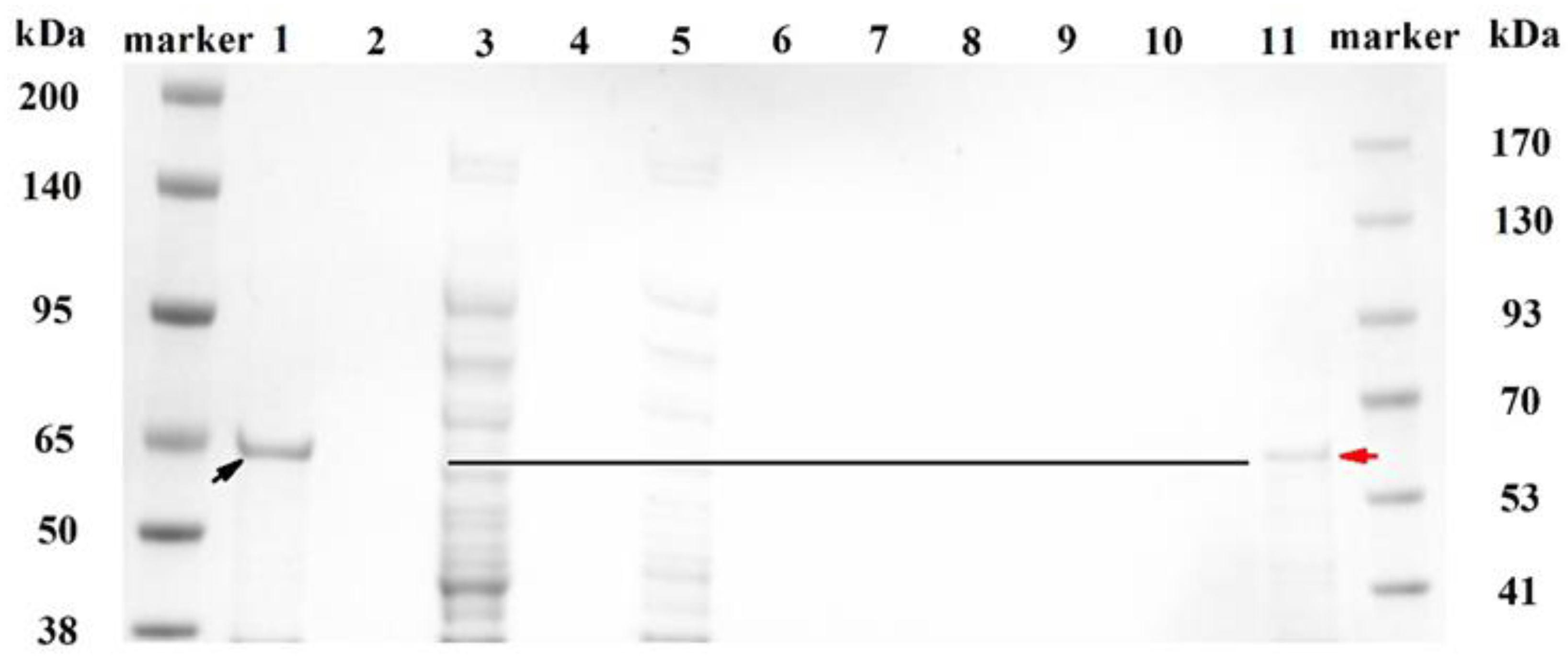 Toxins 15 00494 g001 Toxins 15 00494 g001