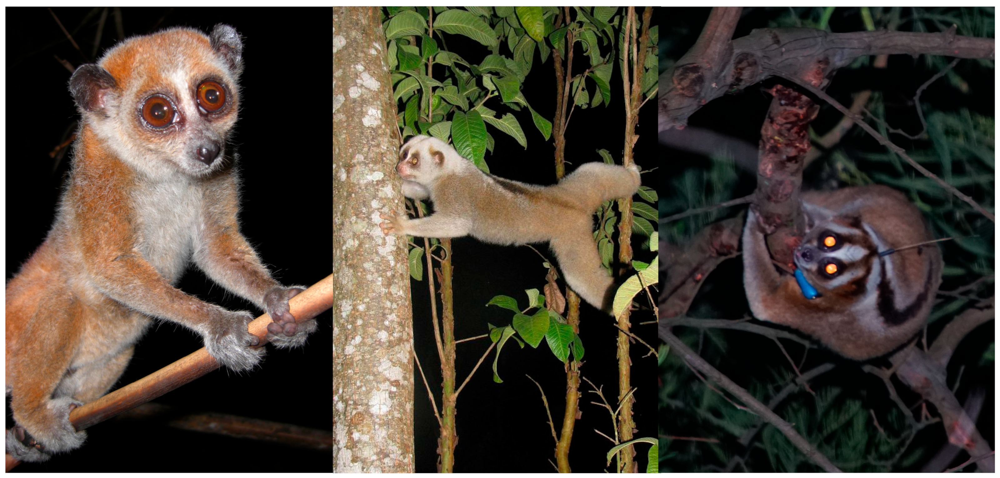 Toxins 15 00514 g006 Toxins 15 00514 g006