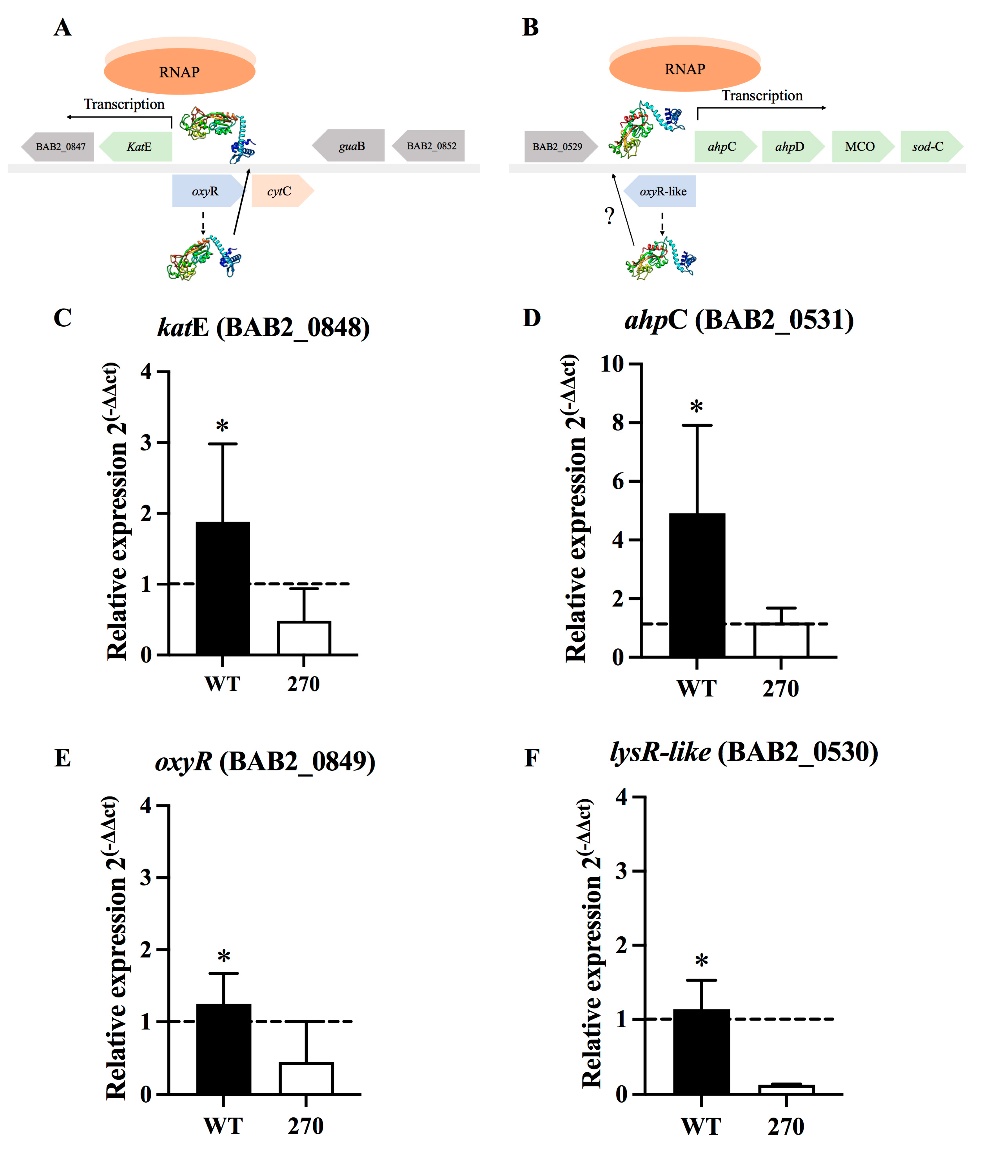 Toxins 15 00536 g002 Toxins 15 00536 g002