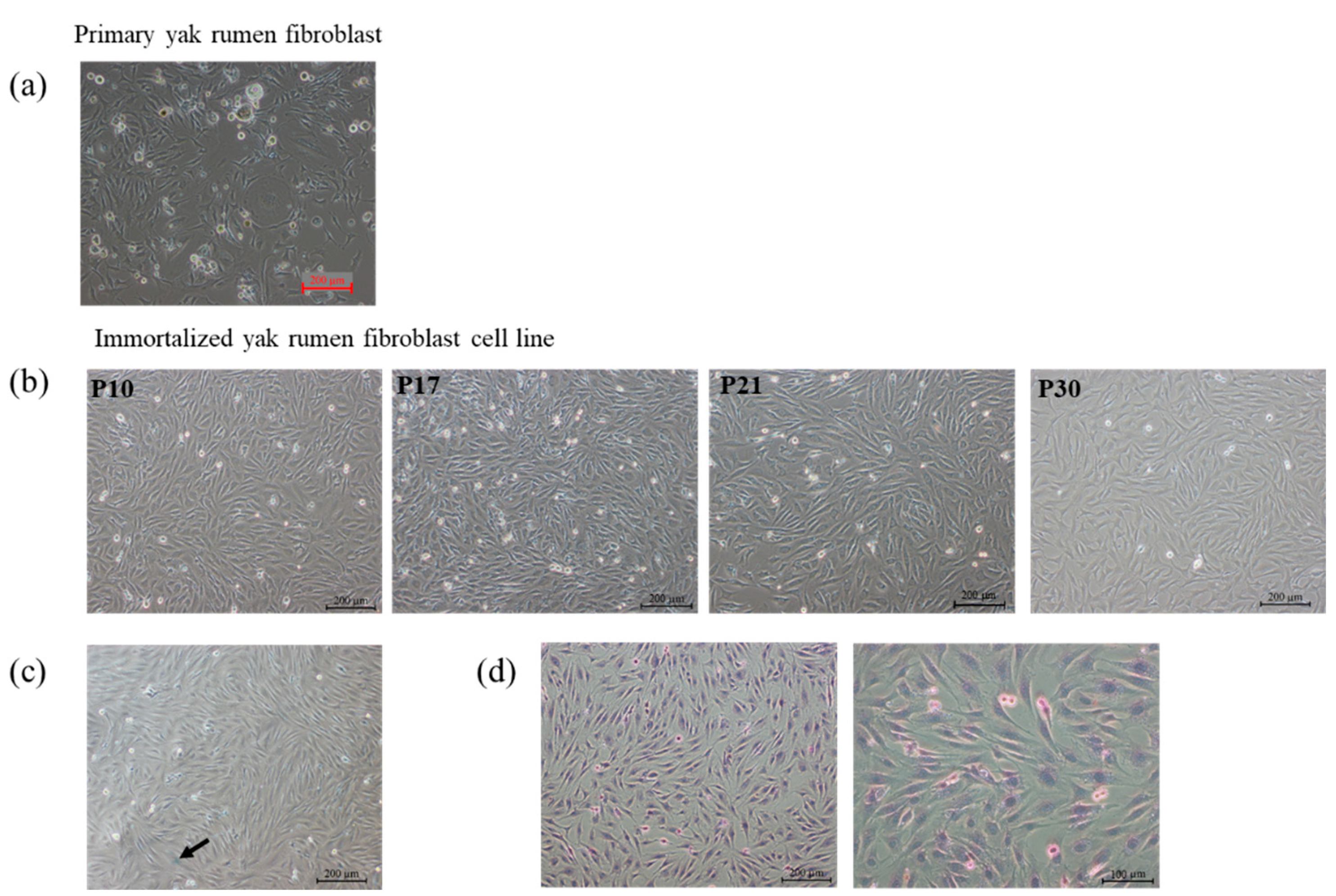 Toxins 15 00537 g001