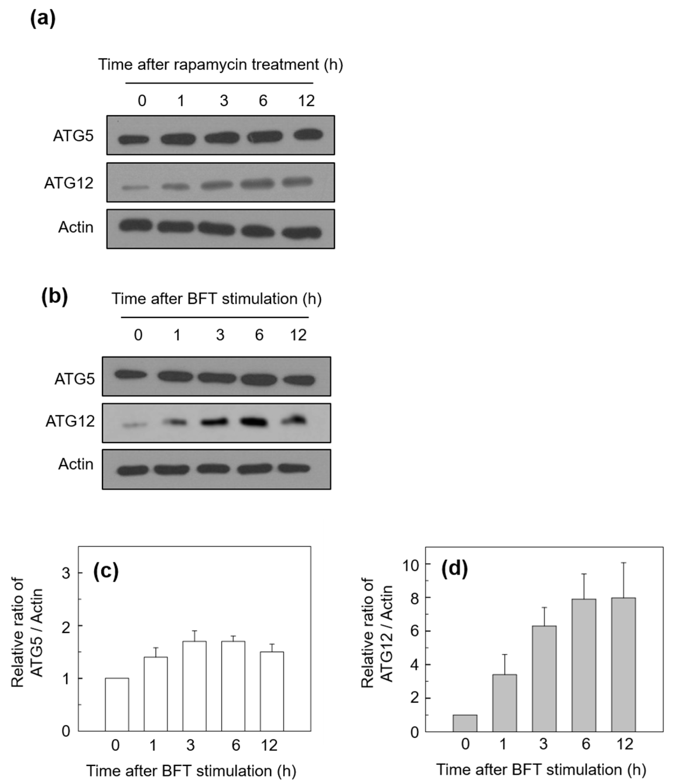 Toxins 15 00544 g002 Toxins 15 00544 g002