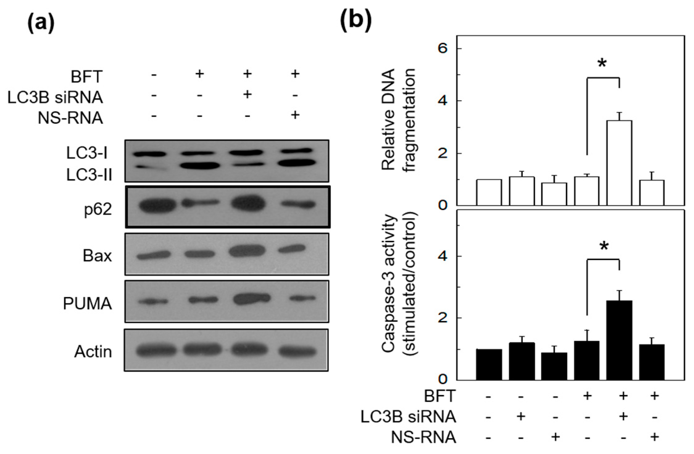 Toxins 15 00544 g009 Toxins 15 00544 g009