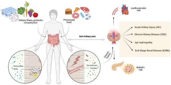 Toxins | Free Full-Text | Biotics (Pre-, Pro-, Post-) and Uremic ...