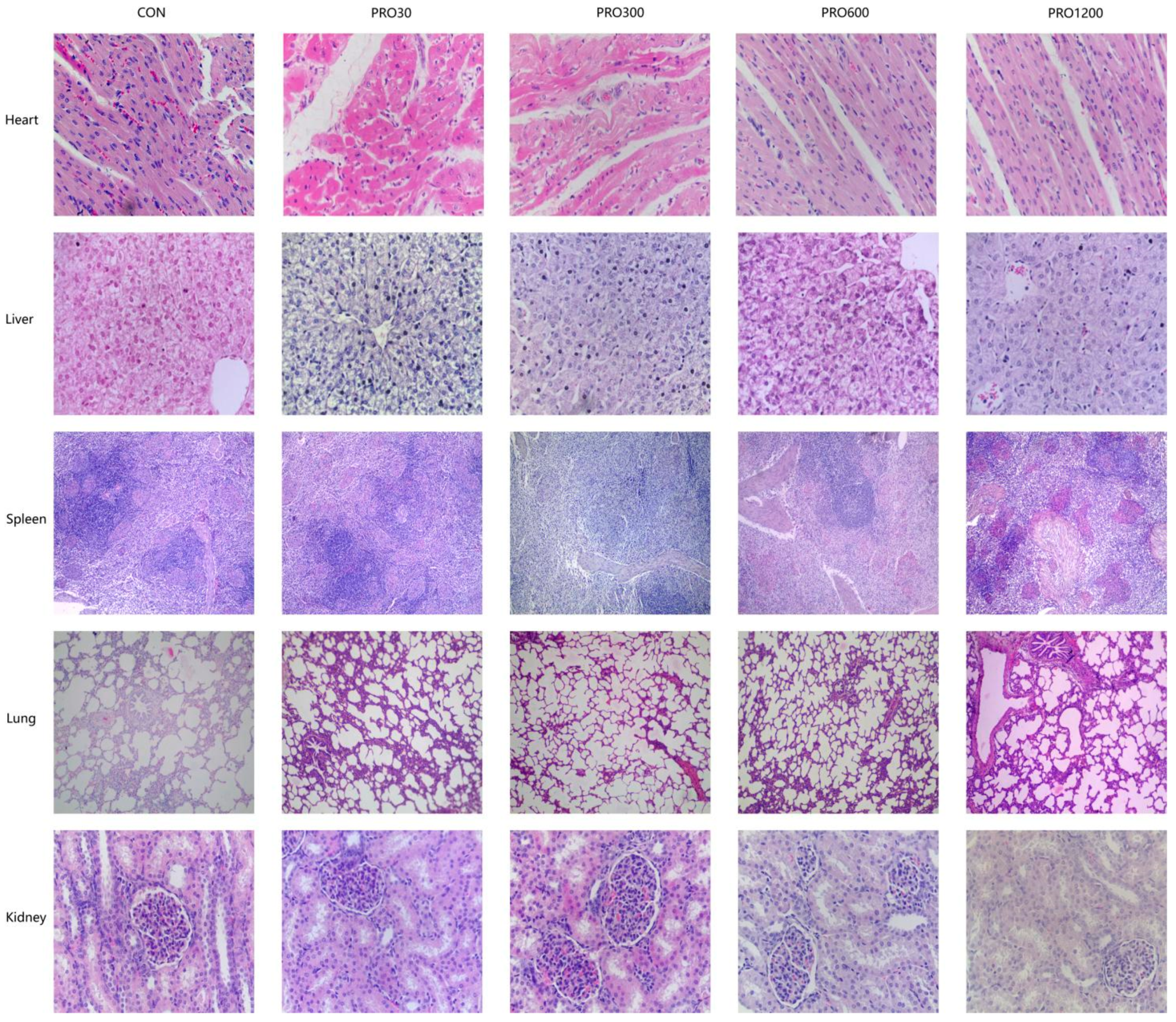 Toxins | Free Full-Text | Functional Characterization and 