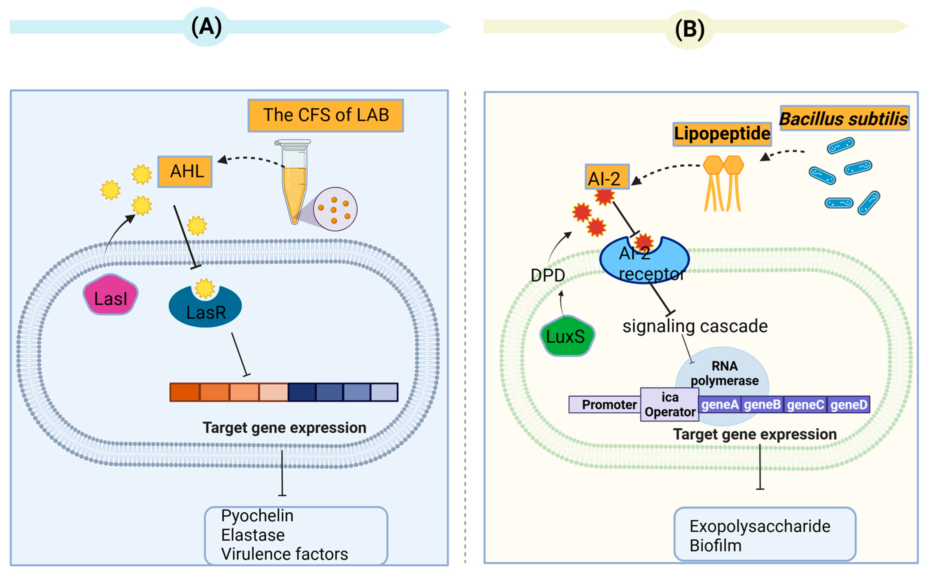 Toxins 15 00570 g004